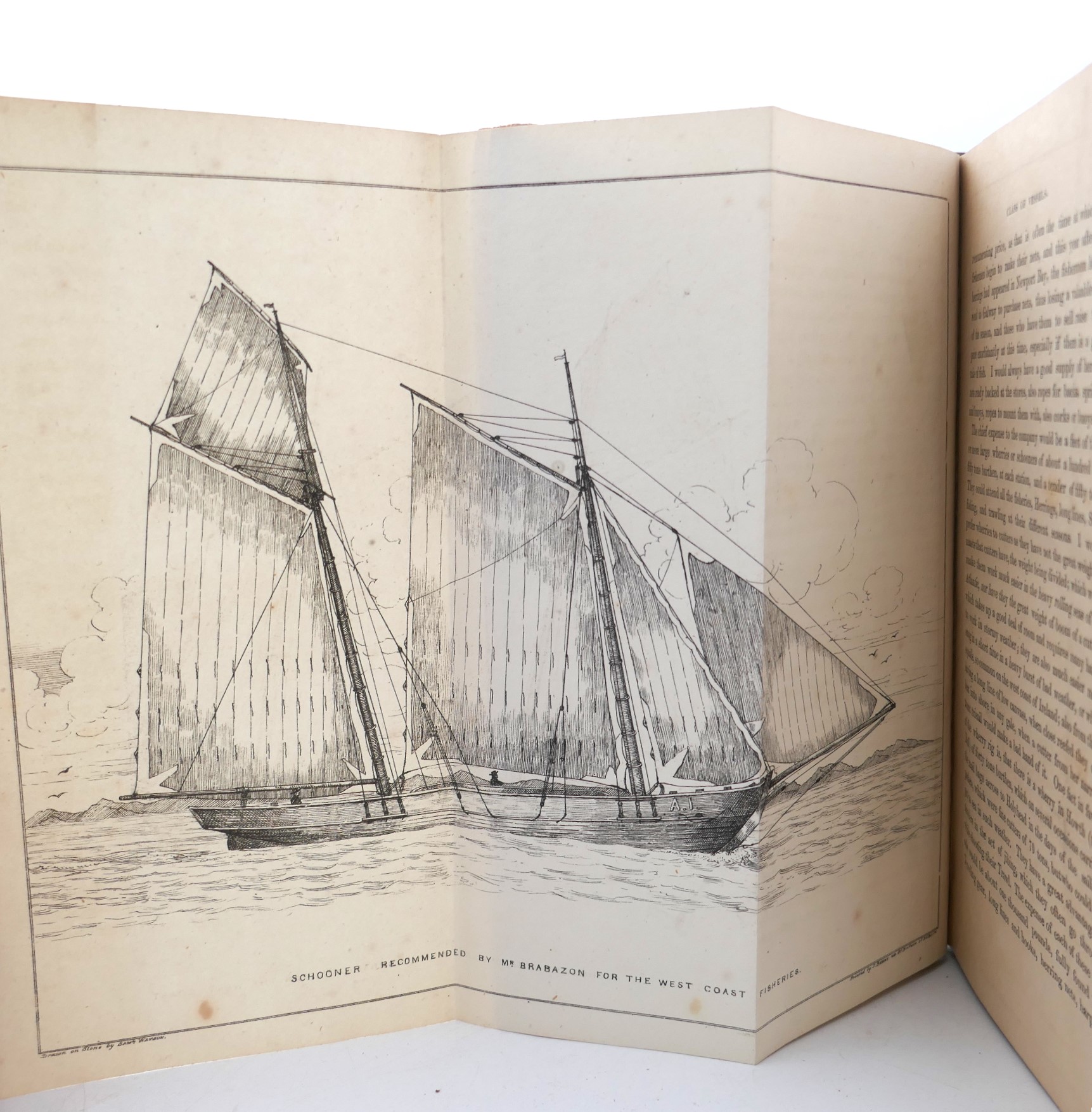 The Deep Sea and Coast Fisheries of Ireland (1848) - Image 3