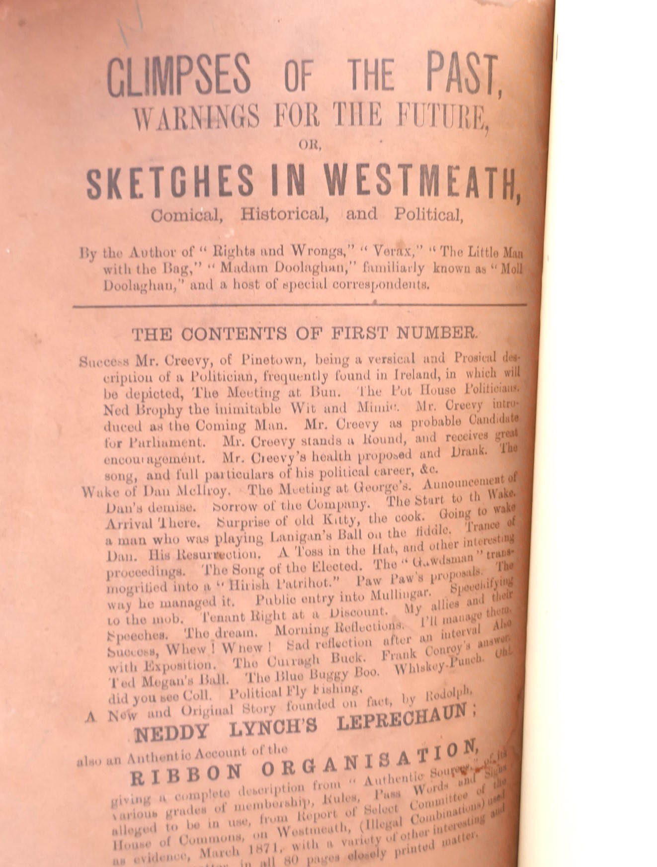 Sketches in Westmeath (1875) - Image 4