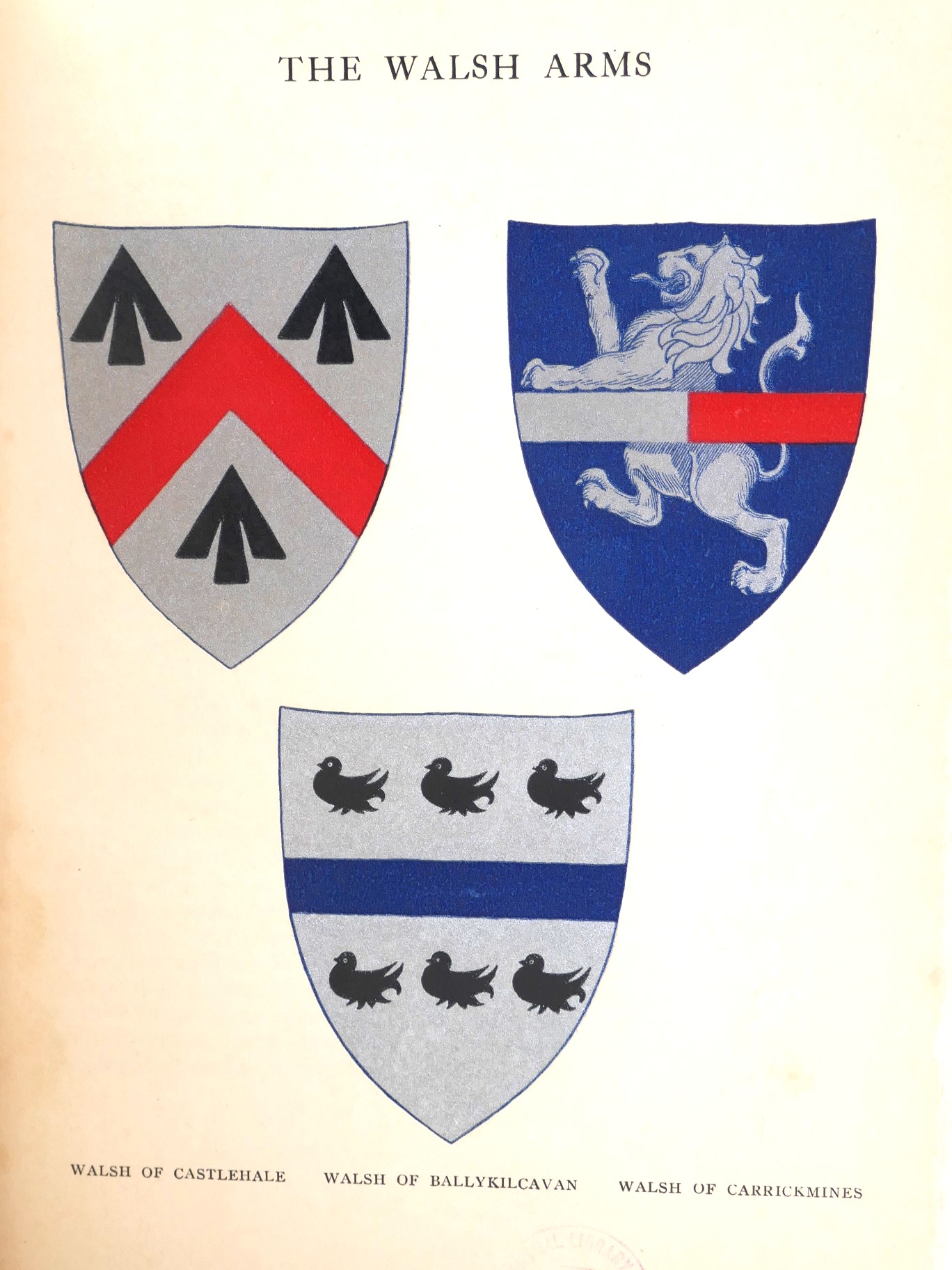 Lament for John MacWalter Walsh & History of the Walsh Family (1925) - Image 3