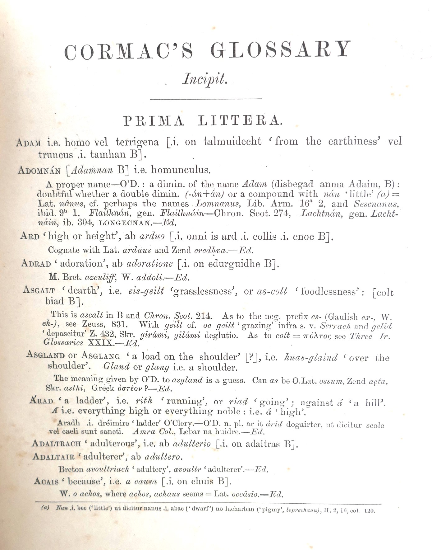 Cormac's Glossary. Sanas Chormaic (1868) - Image 4