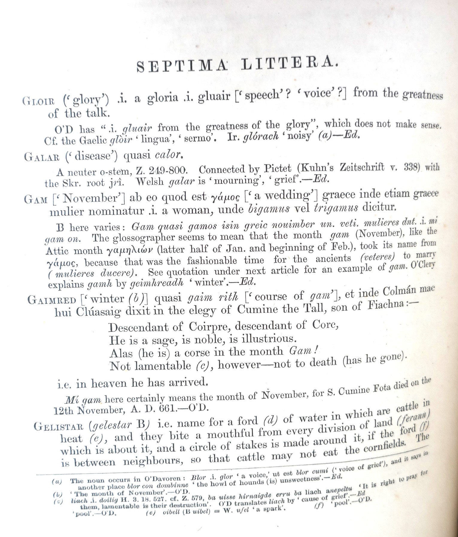 Cormac's Glossary. Sanas Chormaic (1868) - Image 5