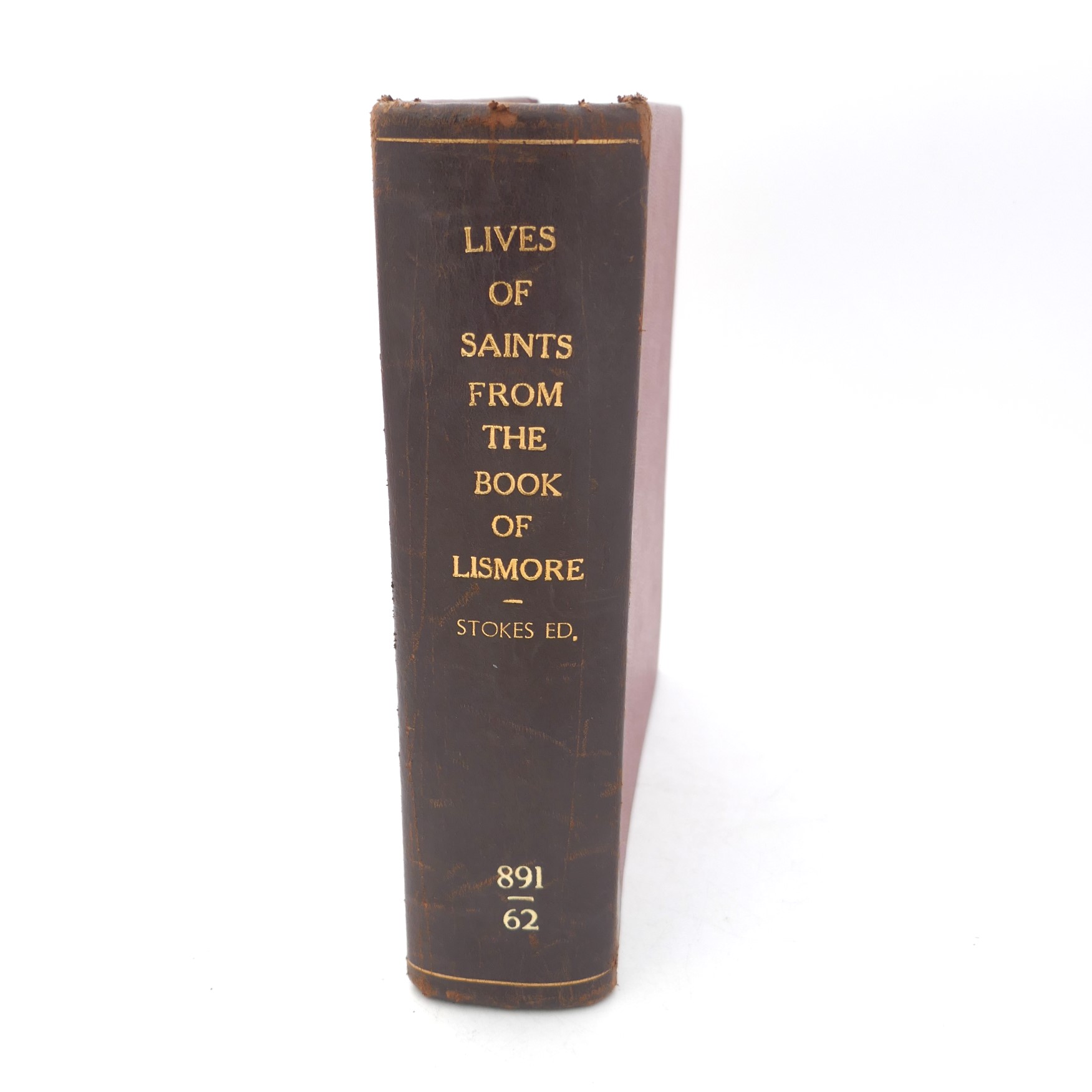 Lives of Saints from the Book of Lismore (1890)