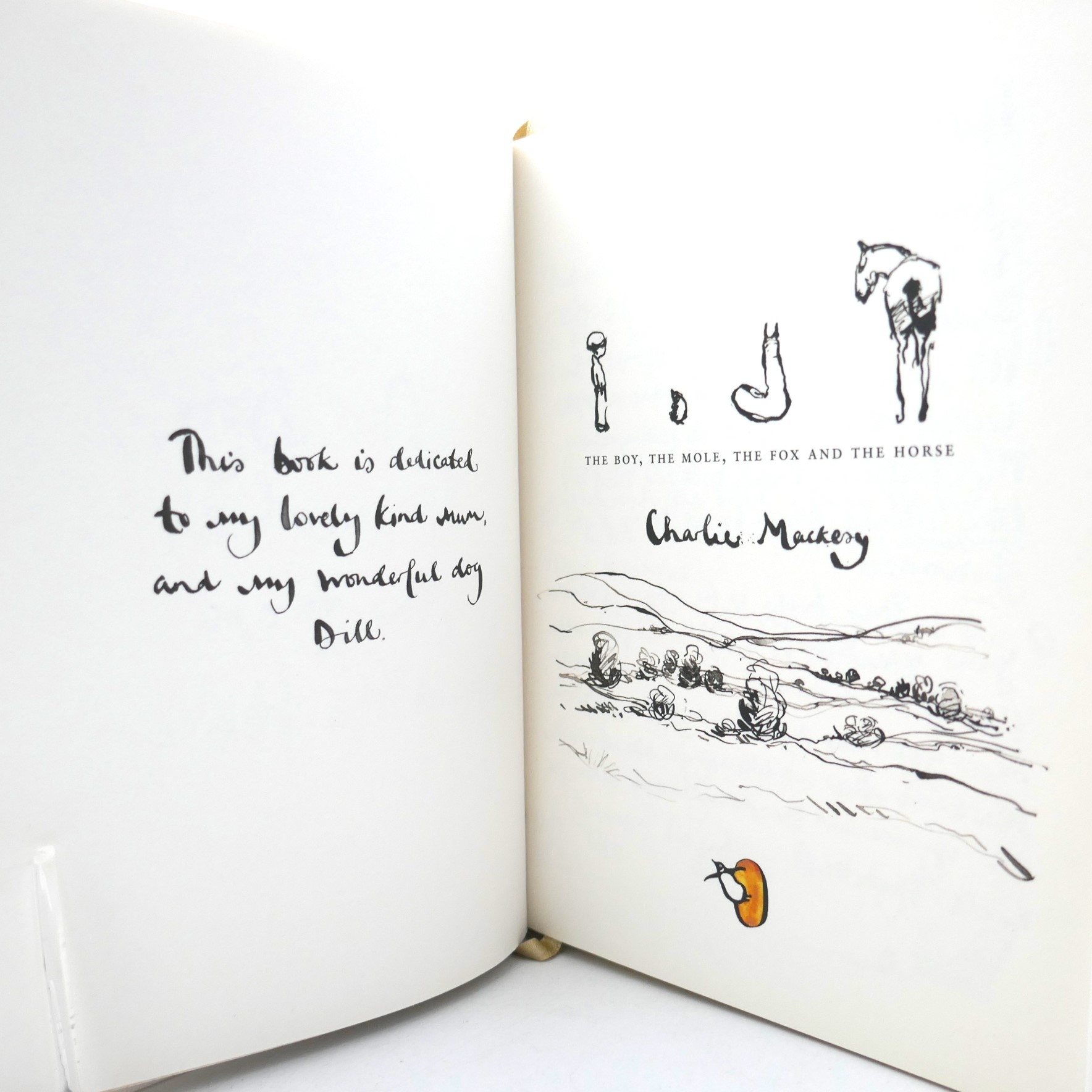 The Boy, The Mole, The Fox and The Horse (2019) - Image 3