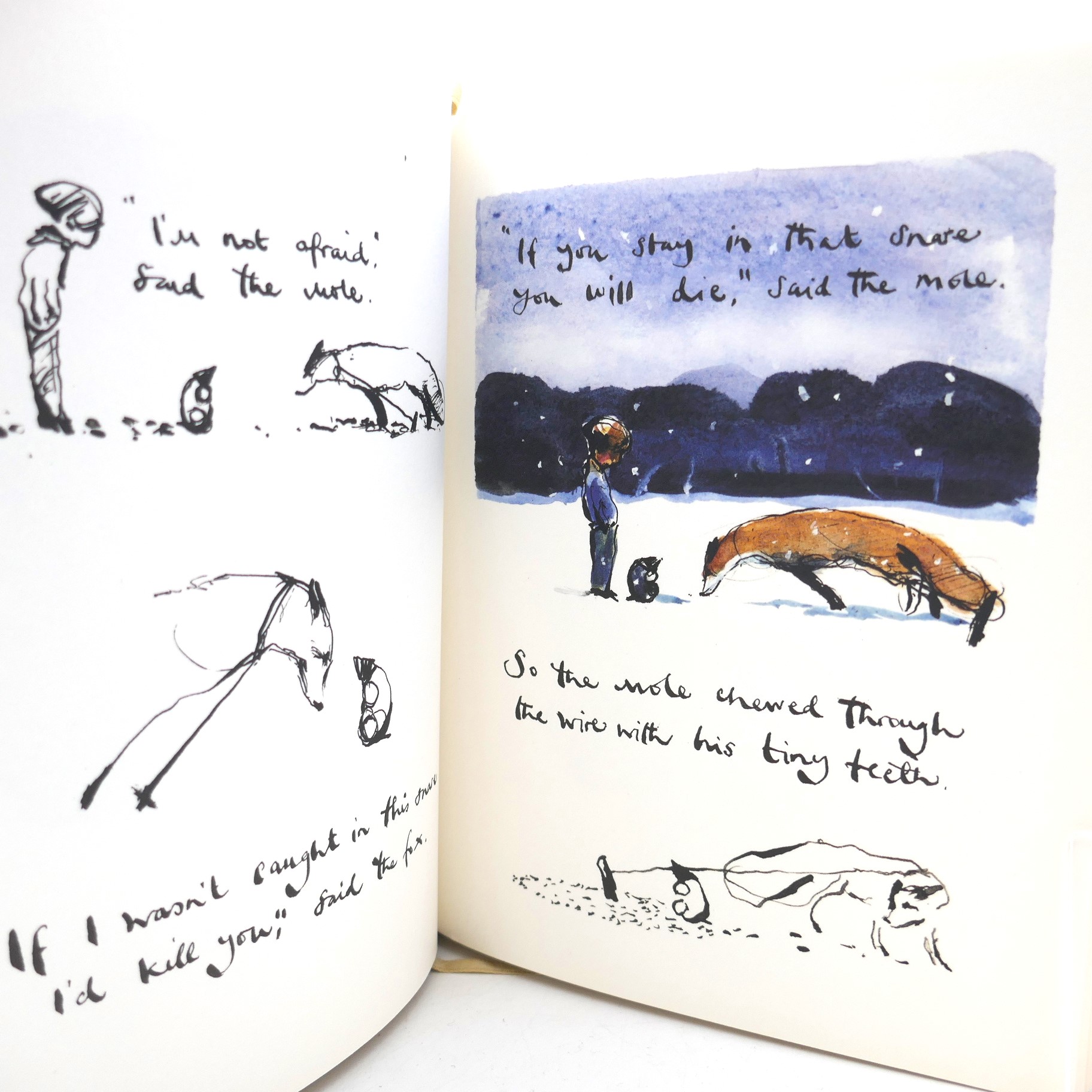 The Boy, The Mole, The Fox and The Horse (2019) - Image 4