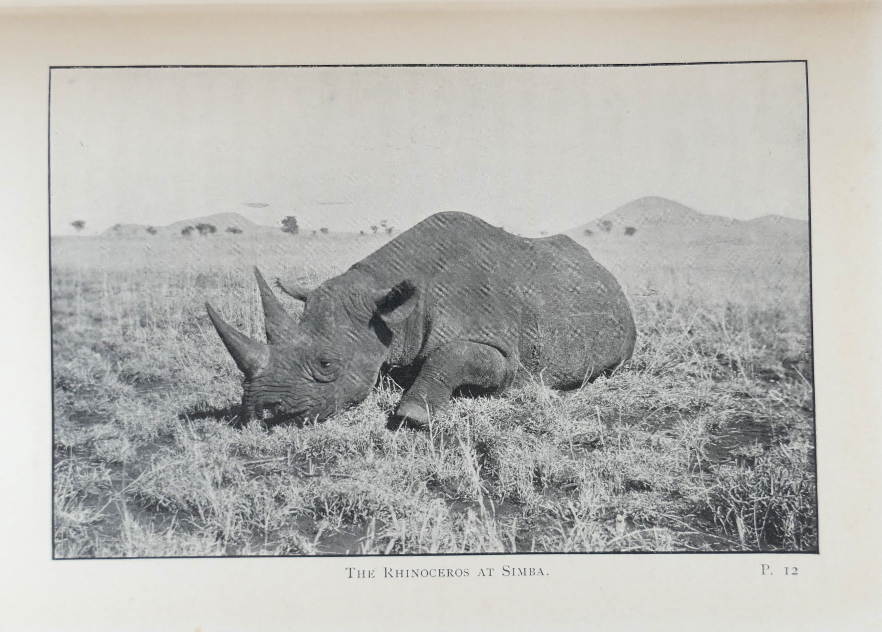 My African Journey. First Edition (1908) - Image 3