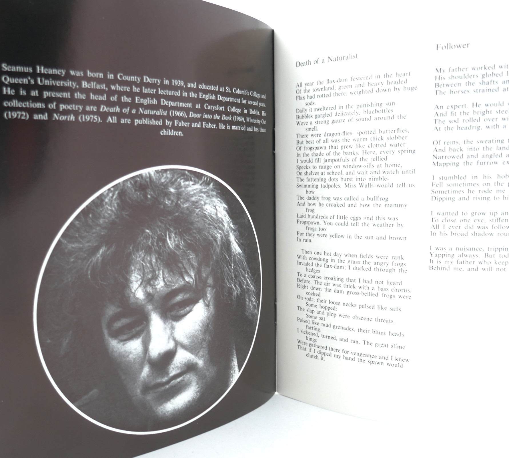 In Their Element. A Selection of Poems (1977) - Image 4
