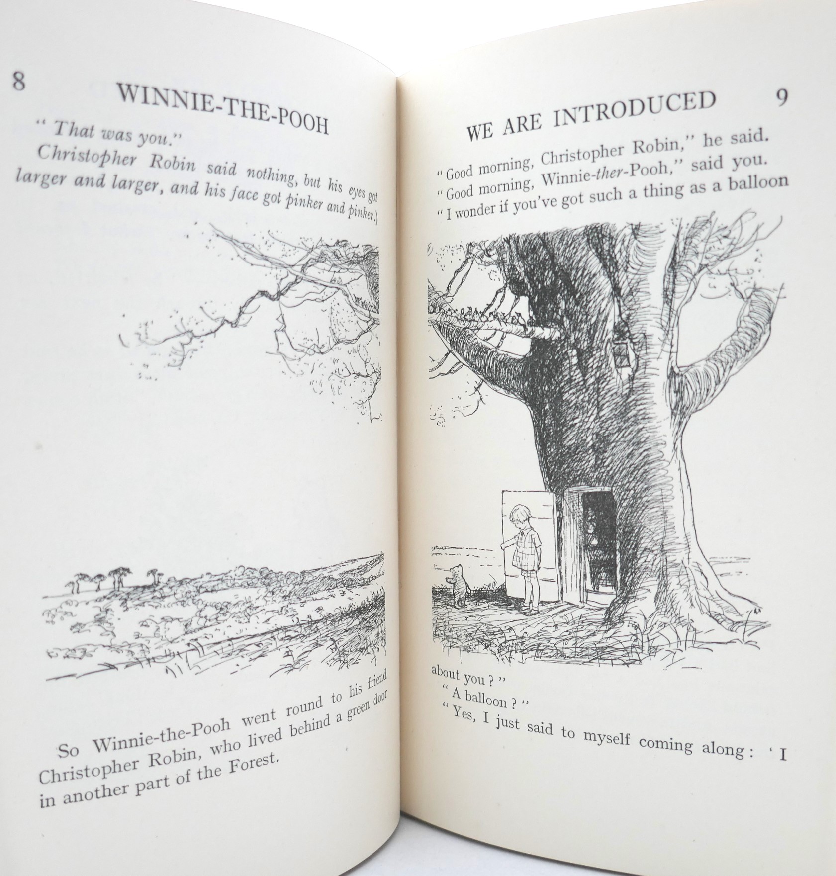 Winnie-the-Pooh. First Edition. Deluxe Issue (1928) - Image 9