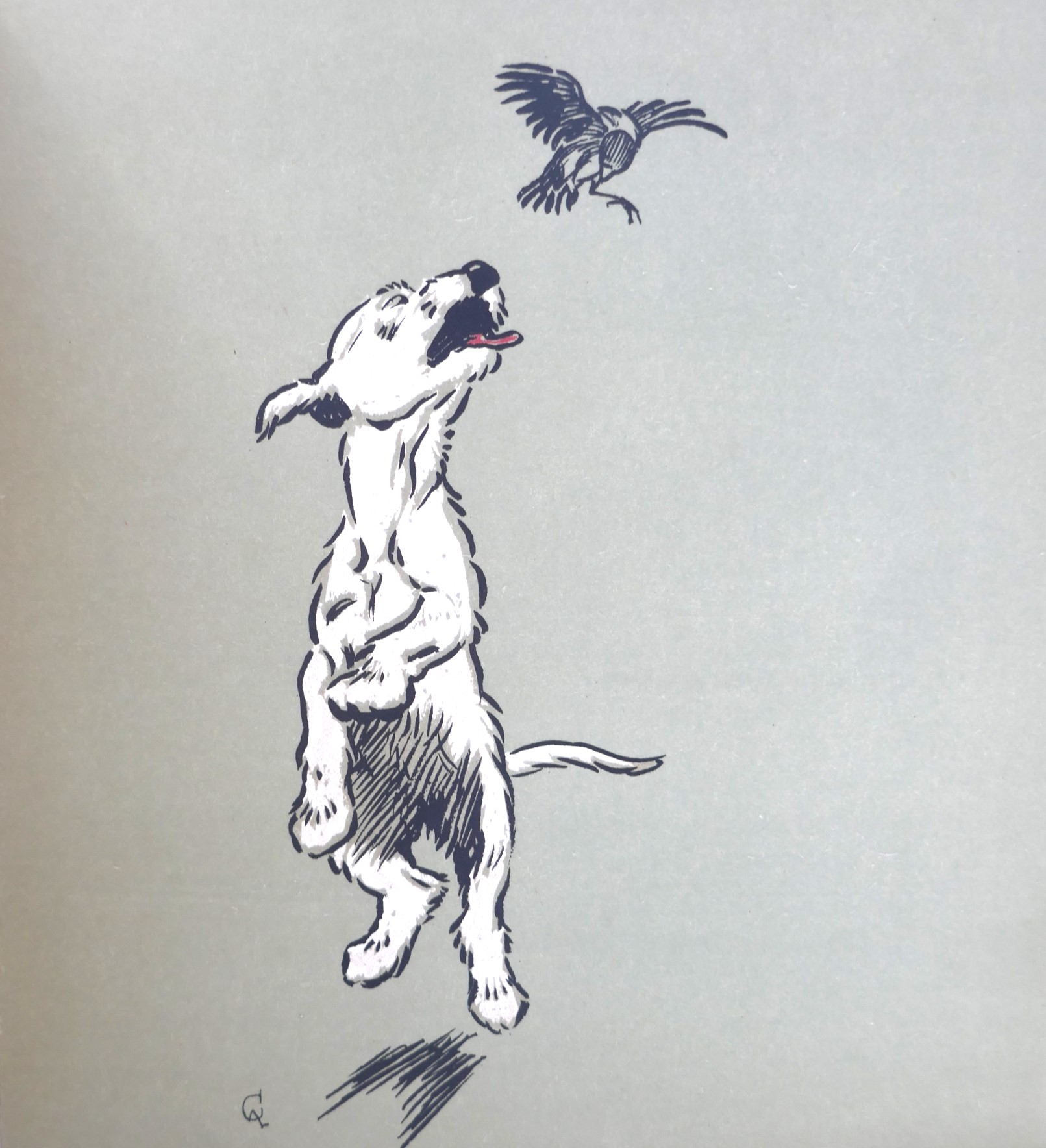 The White Puppy Book (1909) - Image 4