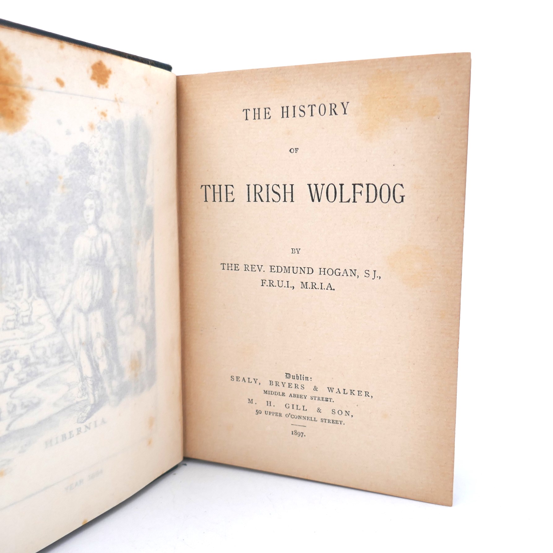 The History of The Irish Wolfdog (1897) - Image 2