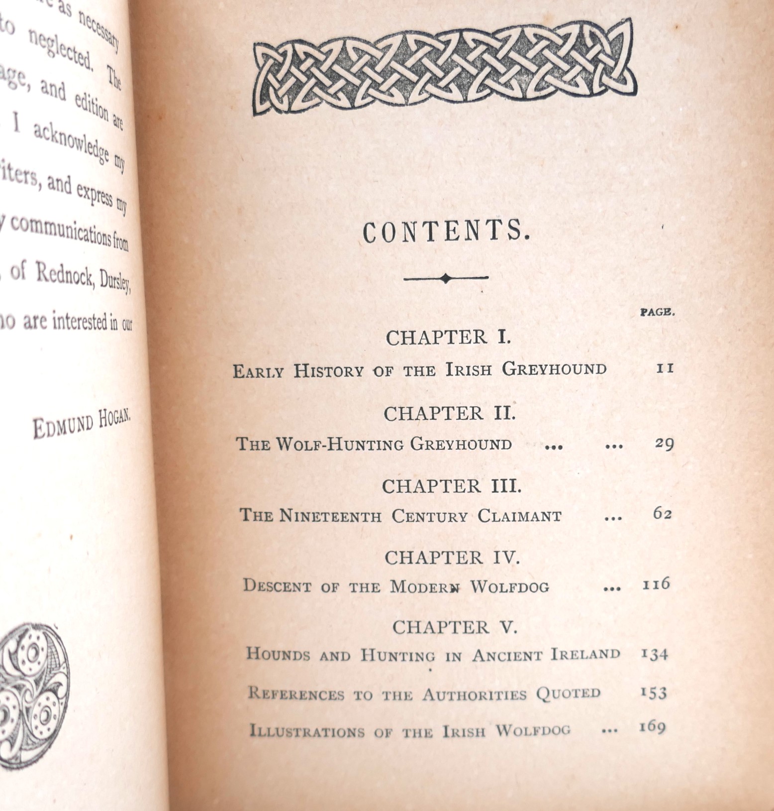 The History of The Irish Wolfdog (1897) - Image 3