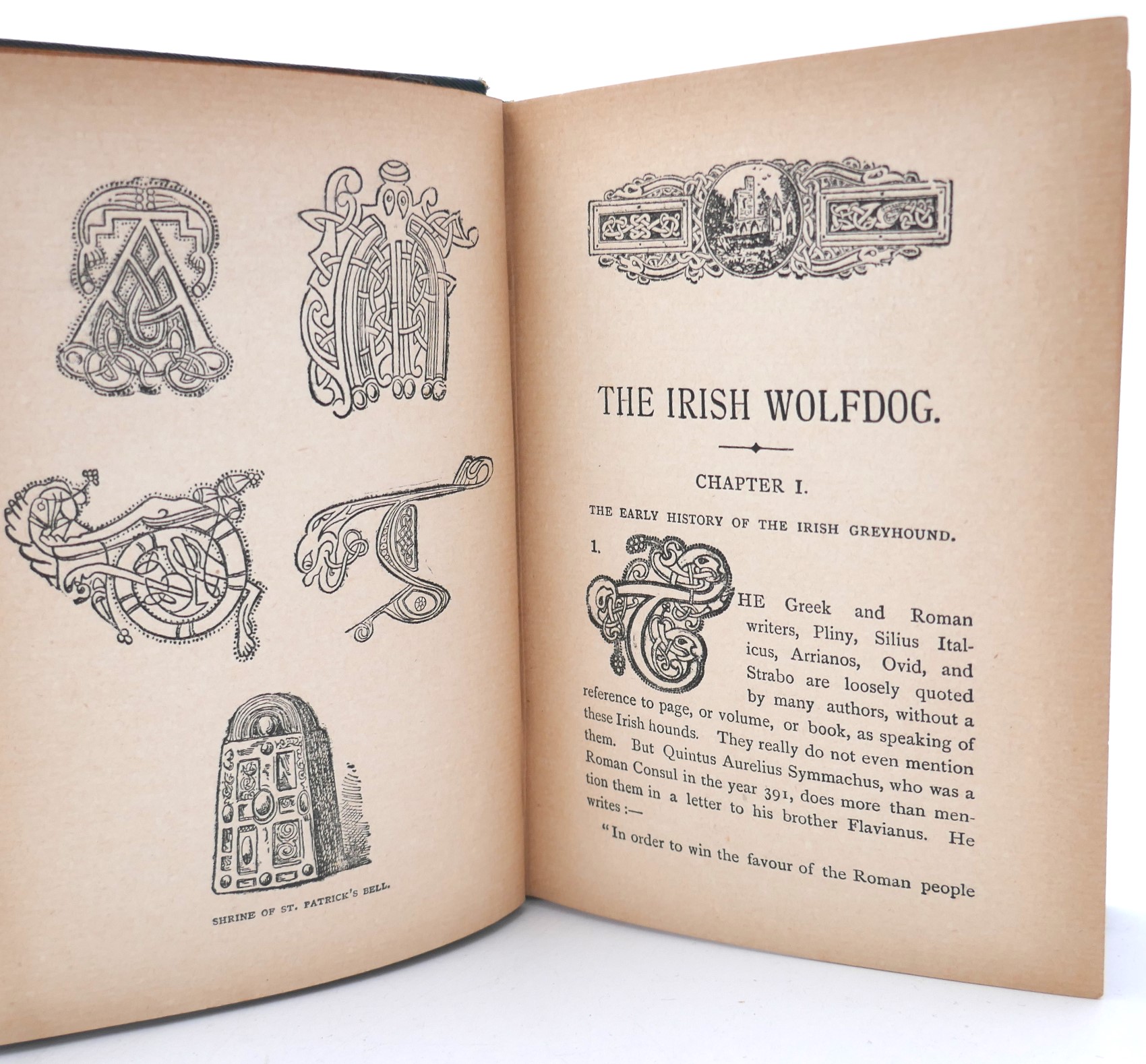 The History of The Irish Wolfdog (1897) - Image 4