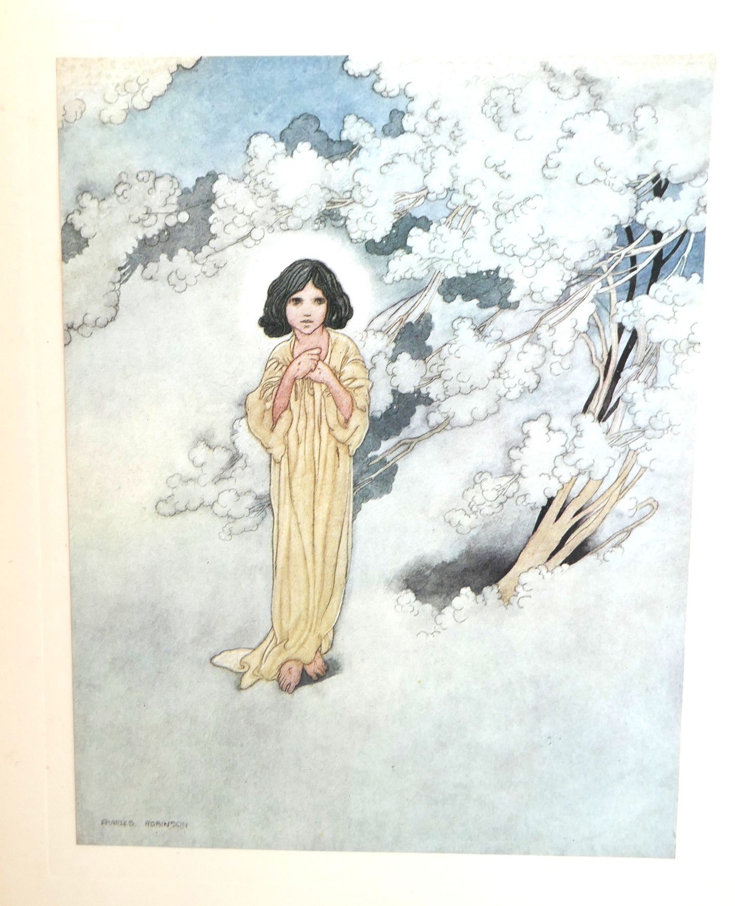 The Happy Prince. Illustrated by Charles Robinson (1913) - Image 9