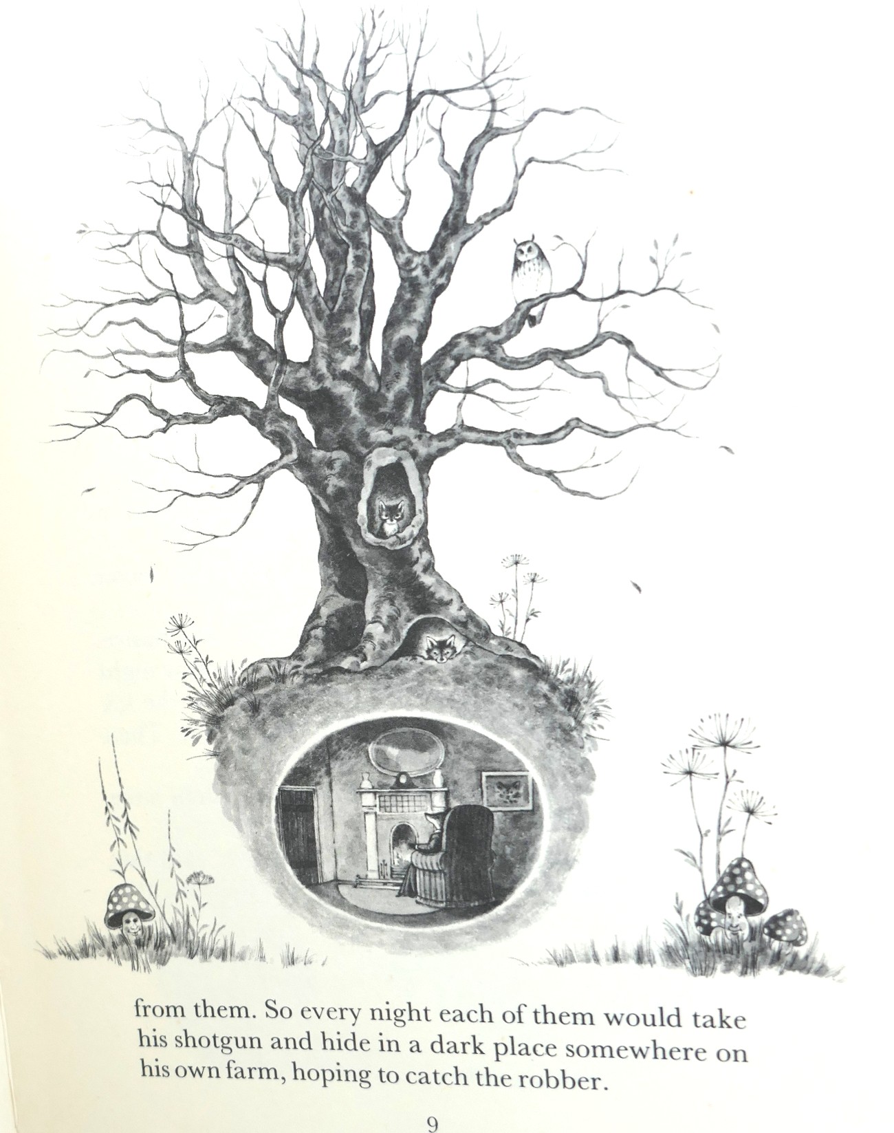 Fantastic Mr. Fox. First Edition (1970) - Image 3