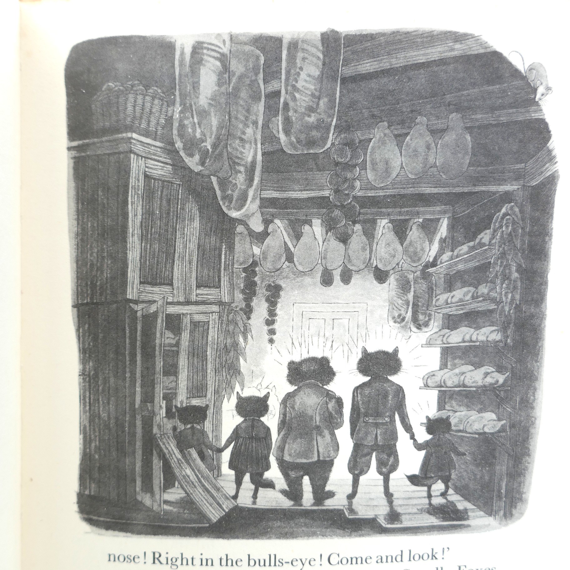 Fantastic Mr. Fox. First Edition (1970) - Image 5
