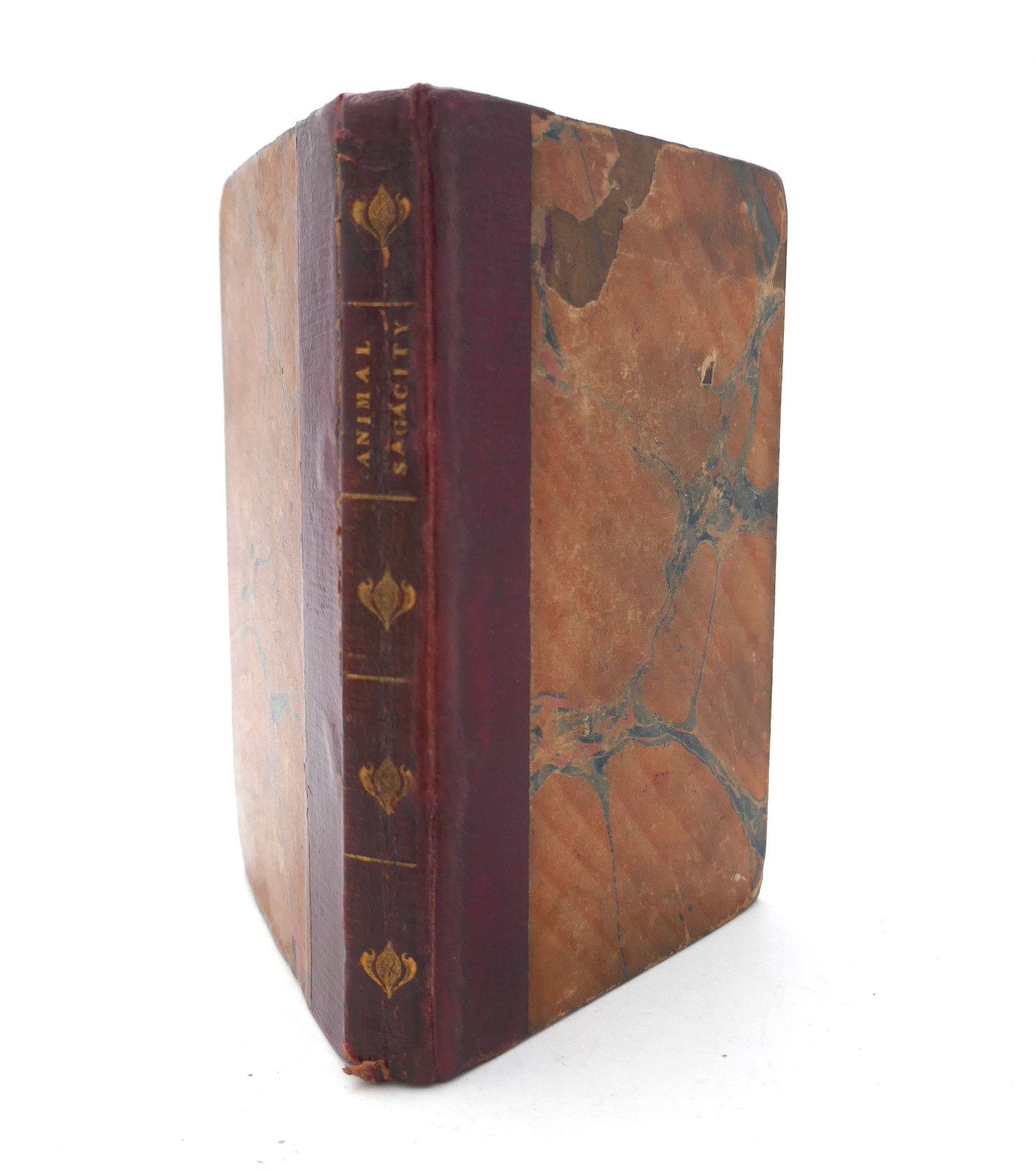Animal Sagacity. Exemplified by Facts. Chap Book (1819)