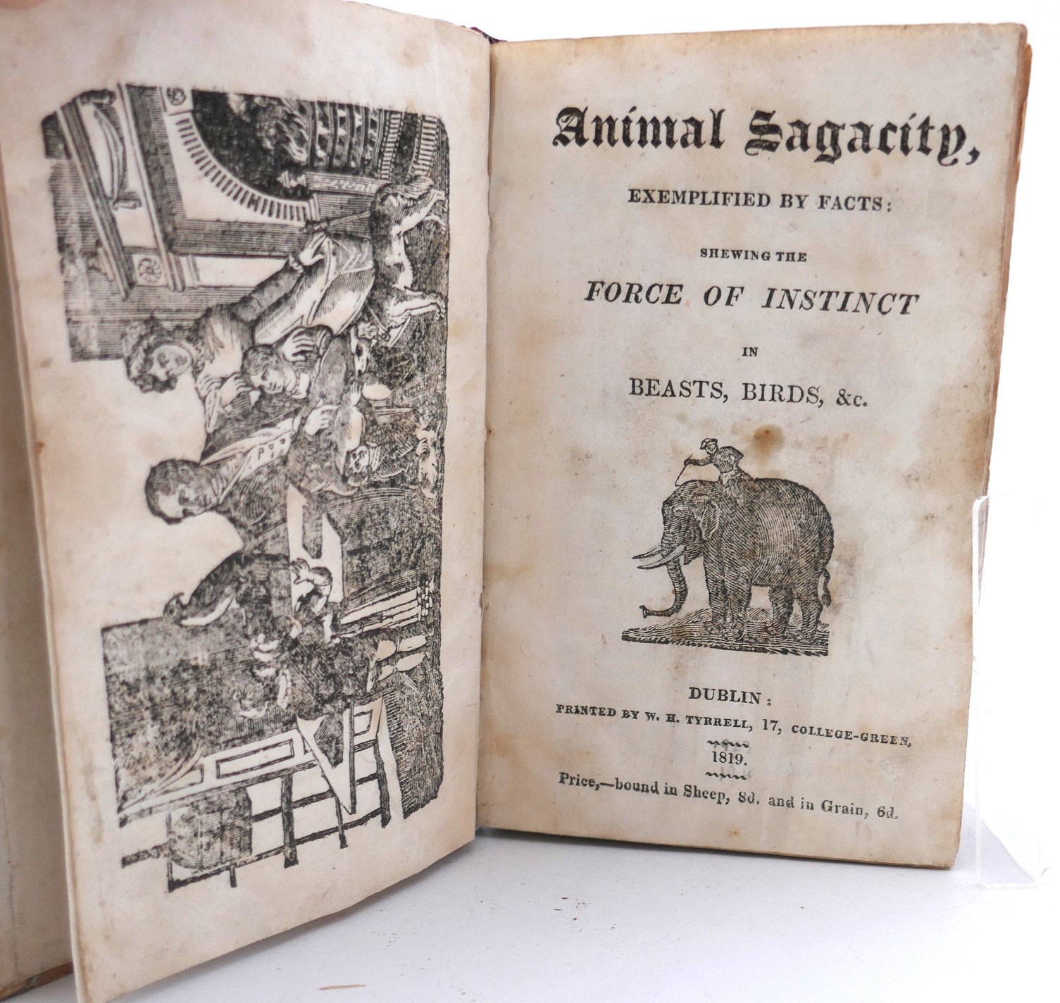 Animal Sagacity. Exemplified by Facts. Chap Book (1819) - Image 2