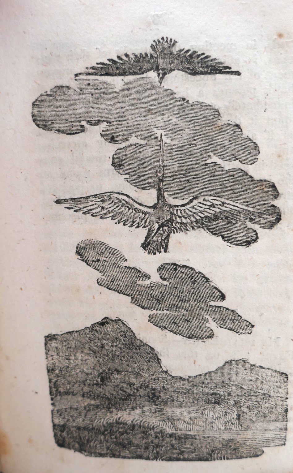 Animal Sagacity. Exemplified by Facts. Chap Book (1819) - Image 4