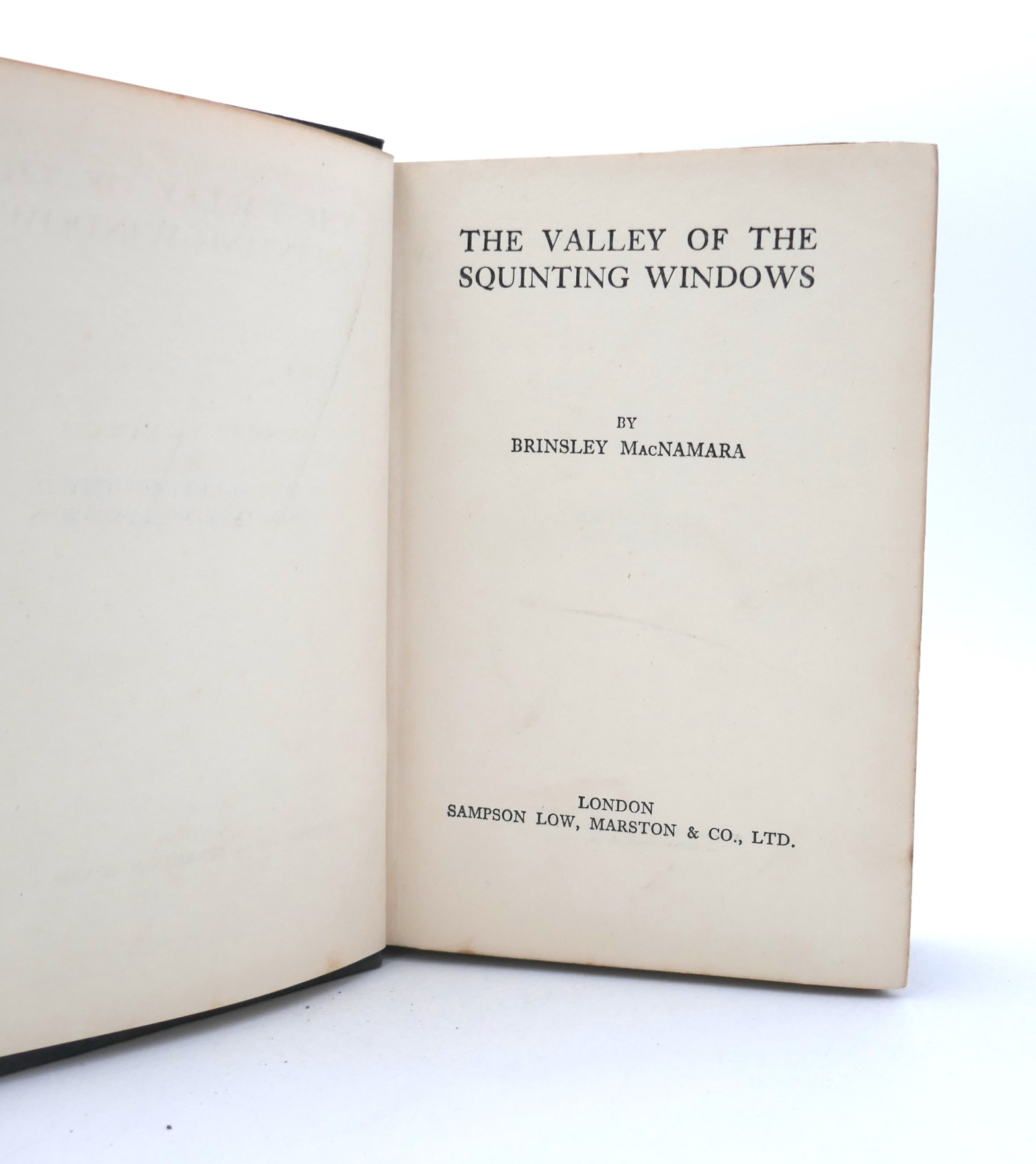 The Valley of the Squinting Windows (1920) - Image 2