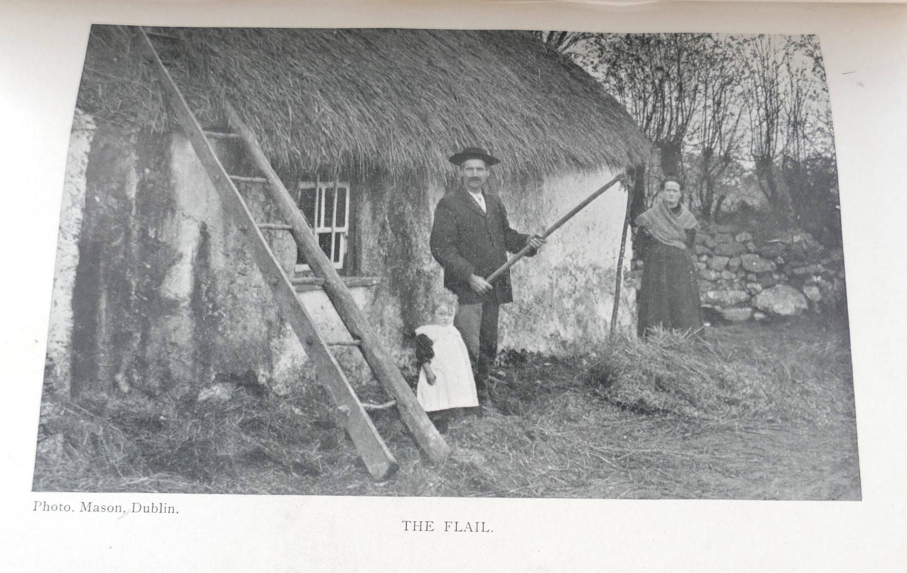 The Lady Next Door (Home Rule in Ireland) - Image 4