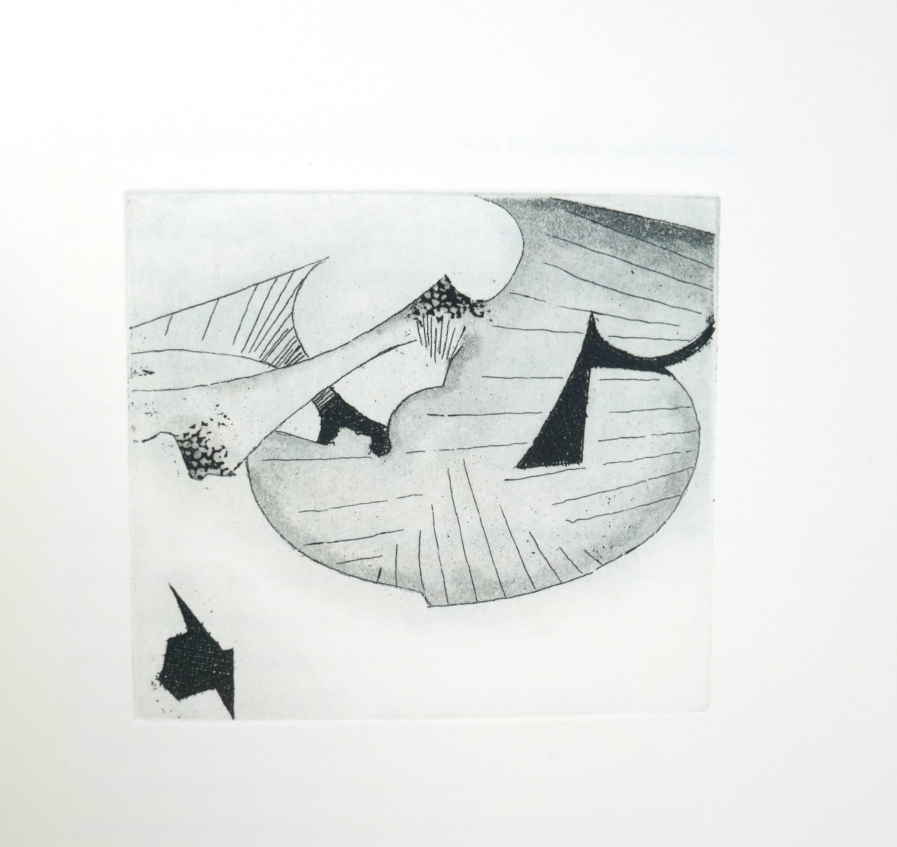 Incantata. Limited Edition of 75 Copies (1994) - Image 5