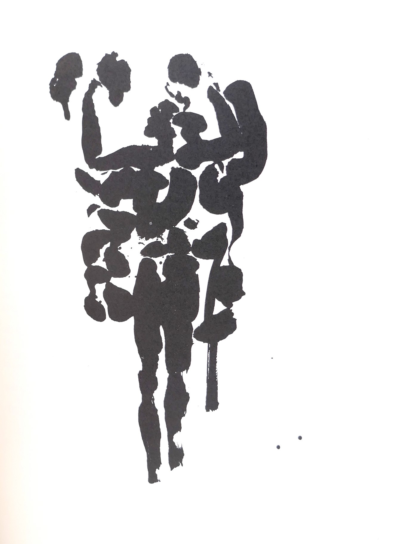 The Tain. Brush Drawings by Louis Le Brocquy (1969) - Image 7