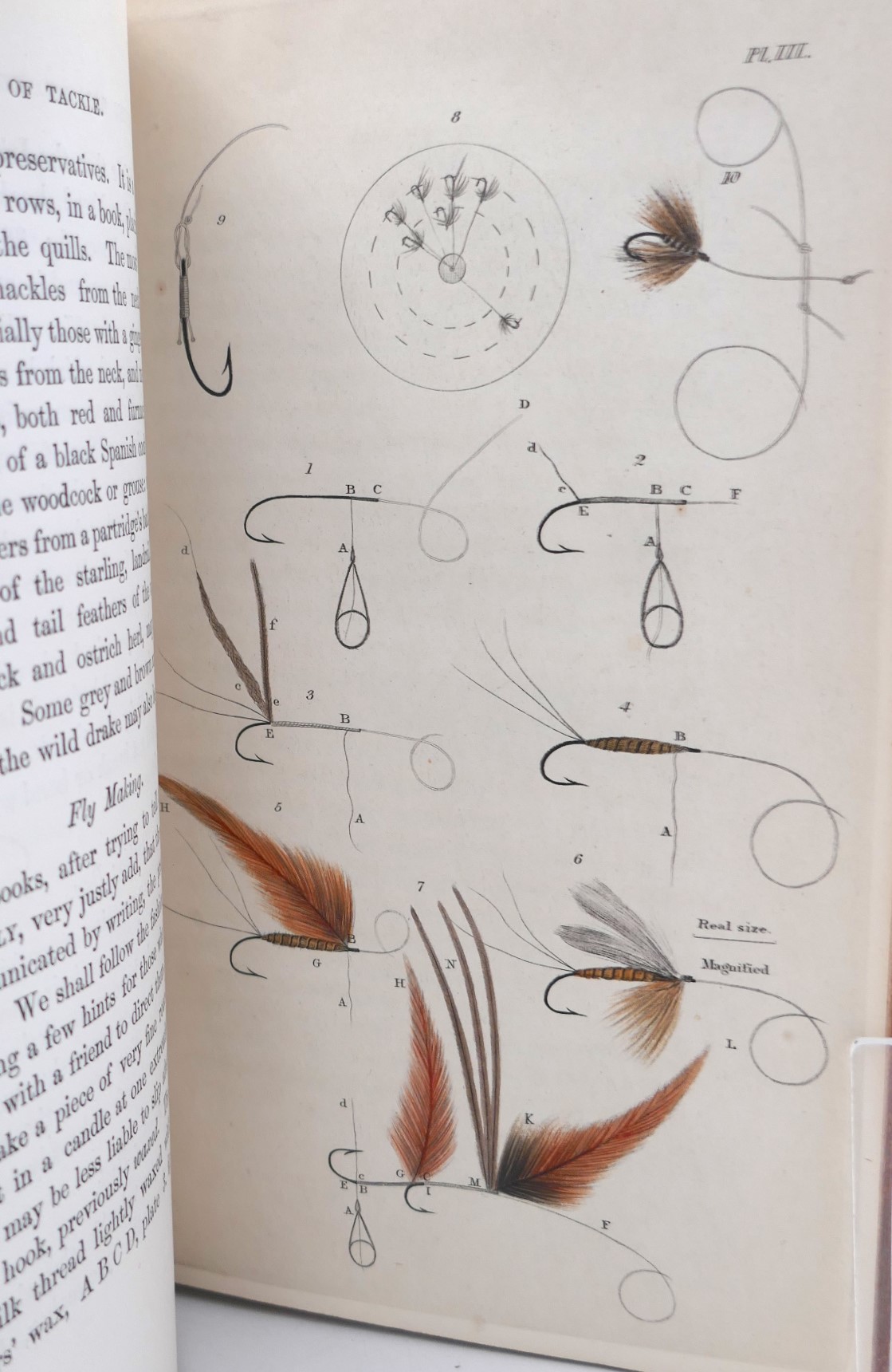 The Fly-Fisher's Entomology (1862) - Image 5
