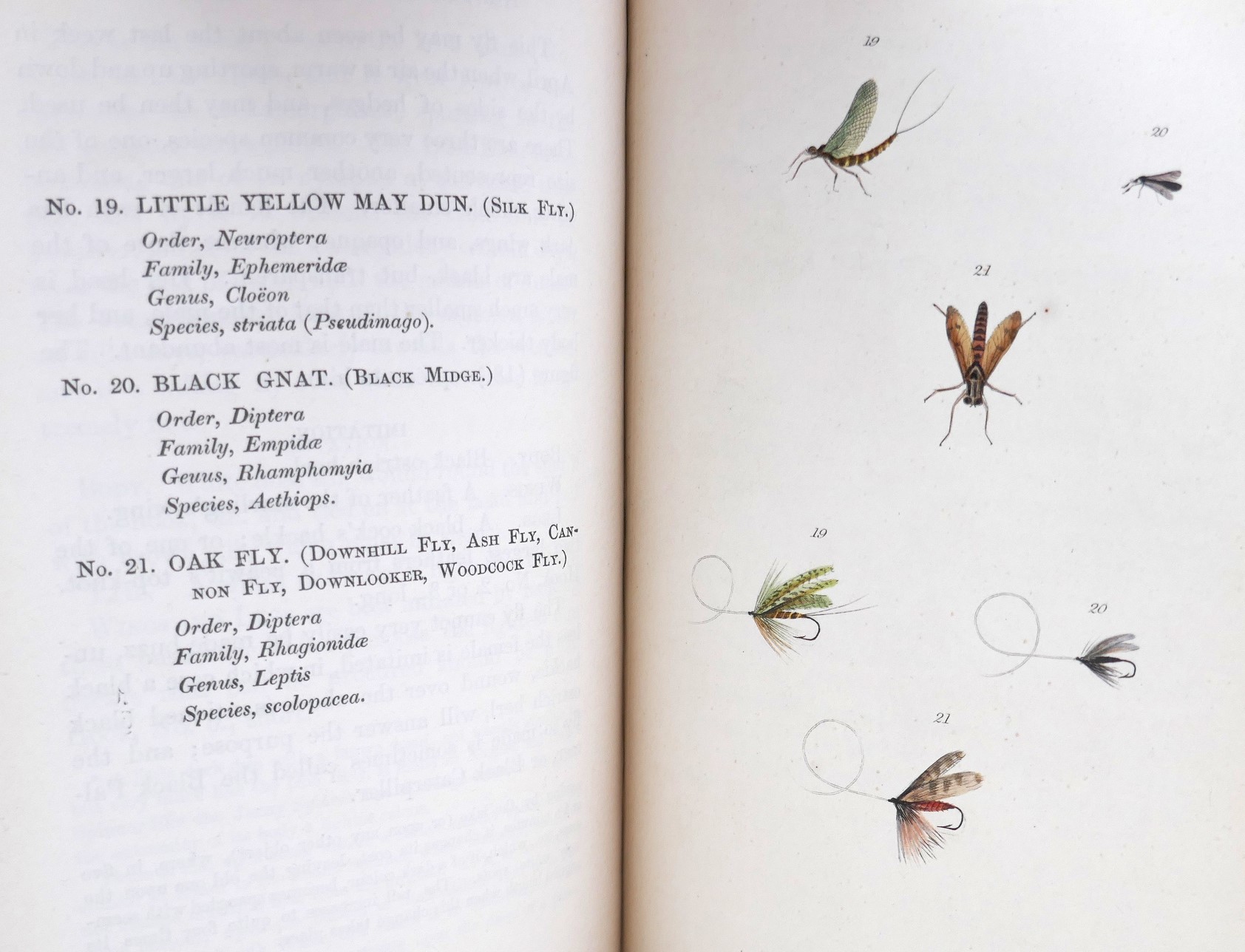 The Fly-Fisher's Entomology (1862) - Image 7