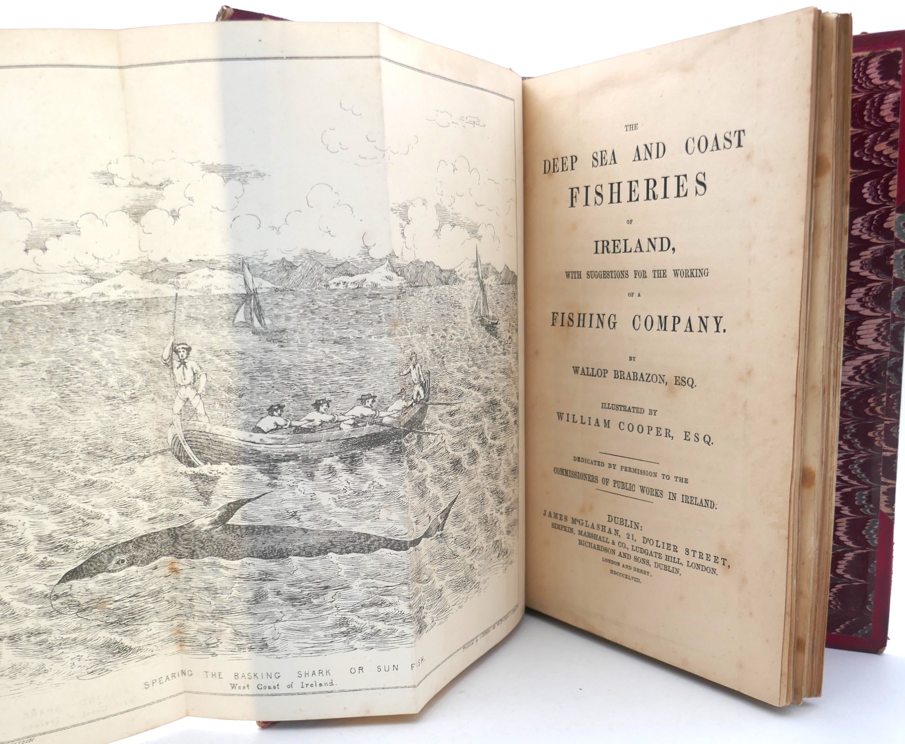 The Deep Sea and Coast Fisheries of Ireland (1848) - Image 3
