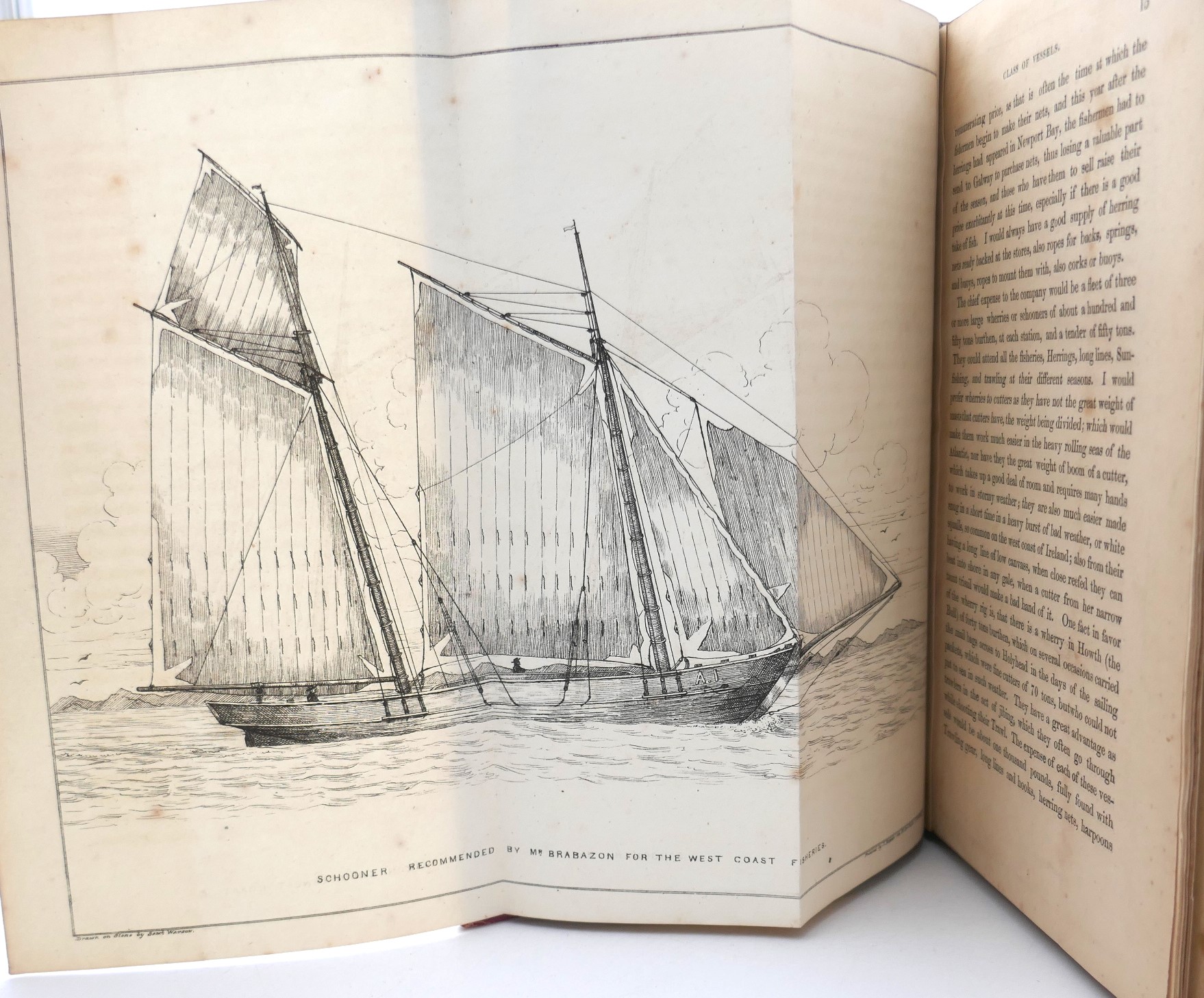 The Deep Sea and Coast Fisheries of Ireland (1848) - Image 4