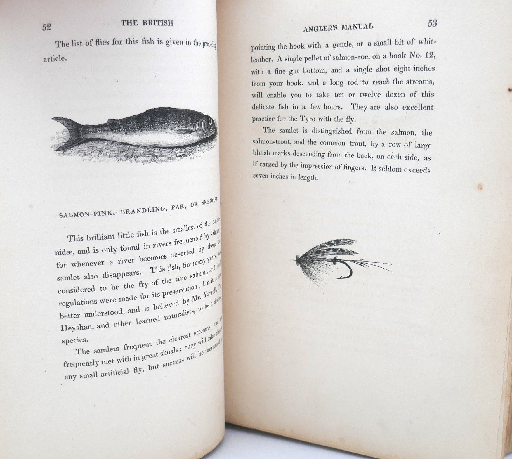 The British Angler's Manual. Angling in England Scotland, Wales & Ireland (1839) - Image 5