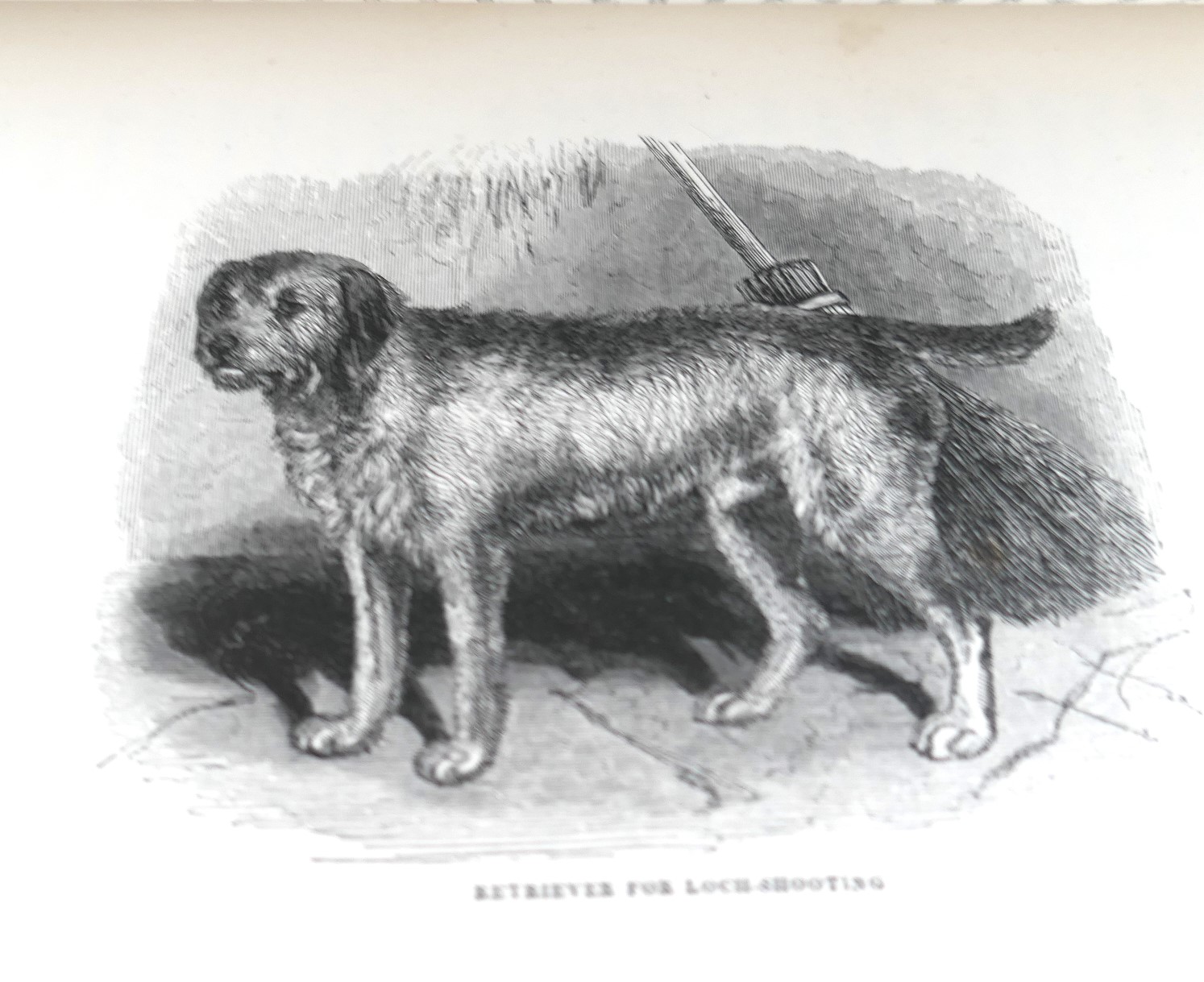 The Moor and the Loch. Hints on Highland Sports (1840) - Image 4