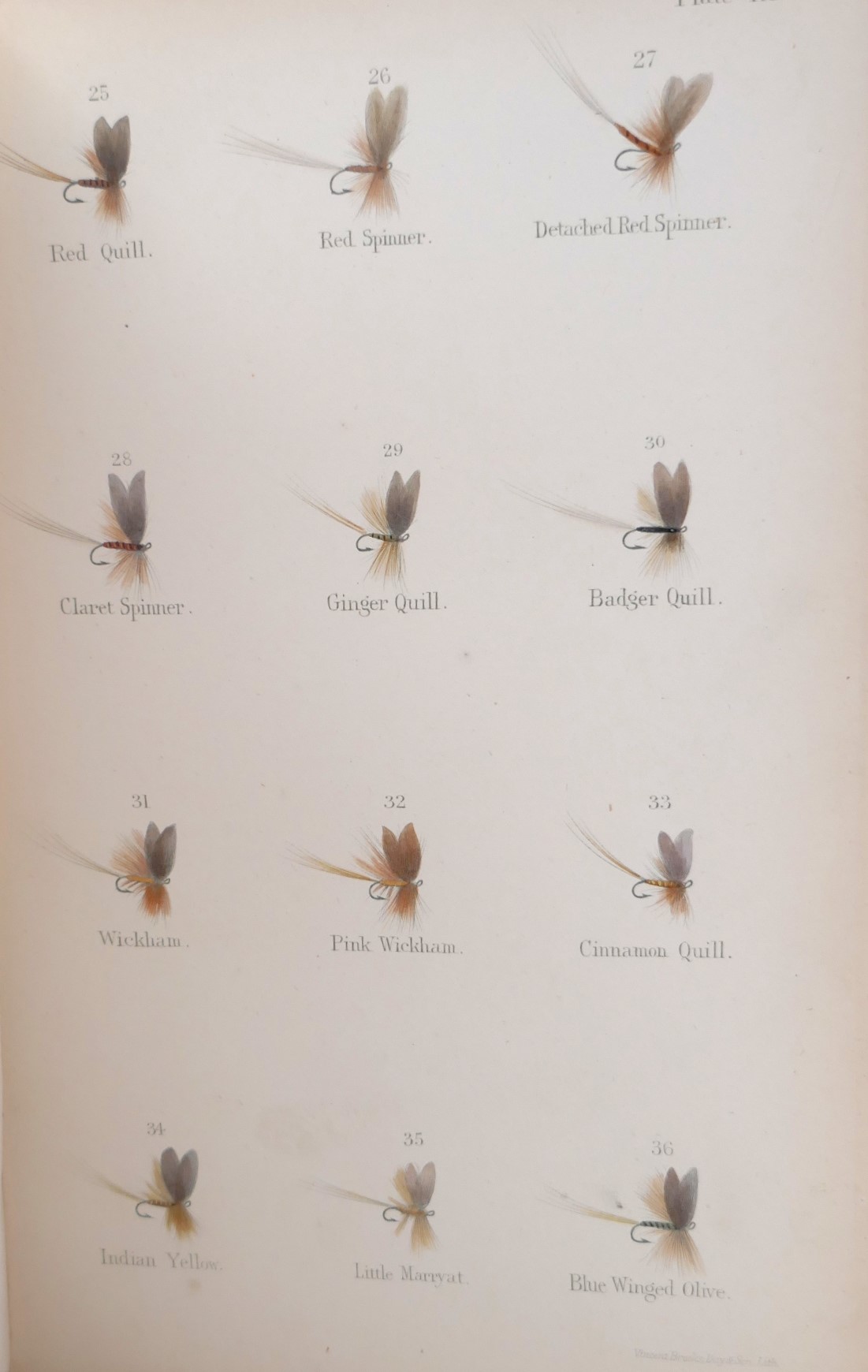 Floating Flies and How to Dress Them (1886) - Image 5
