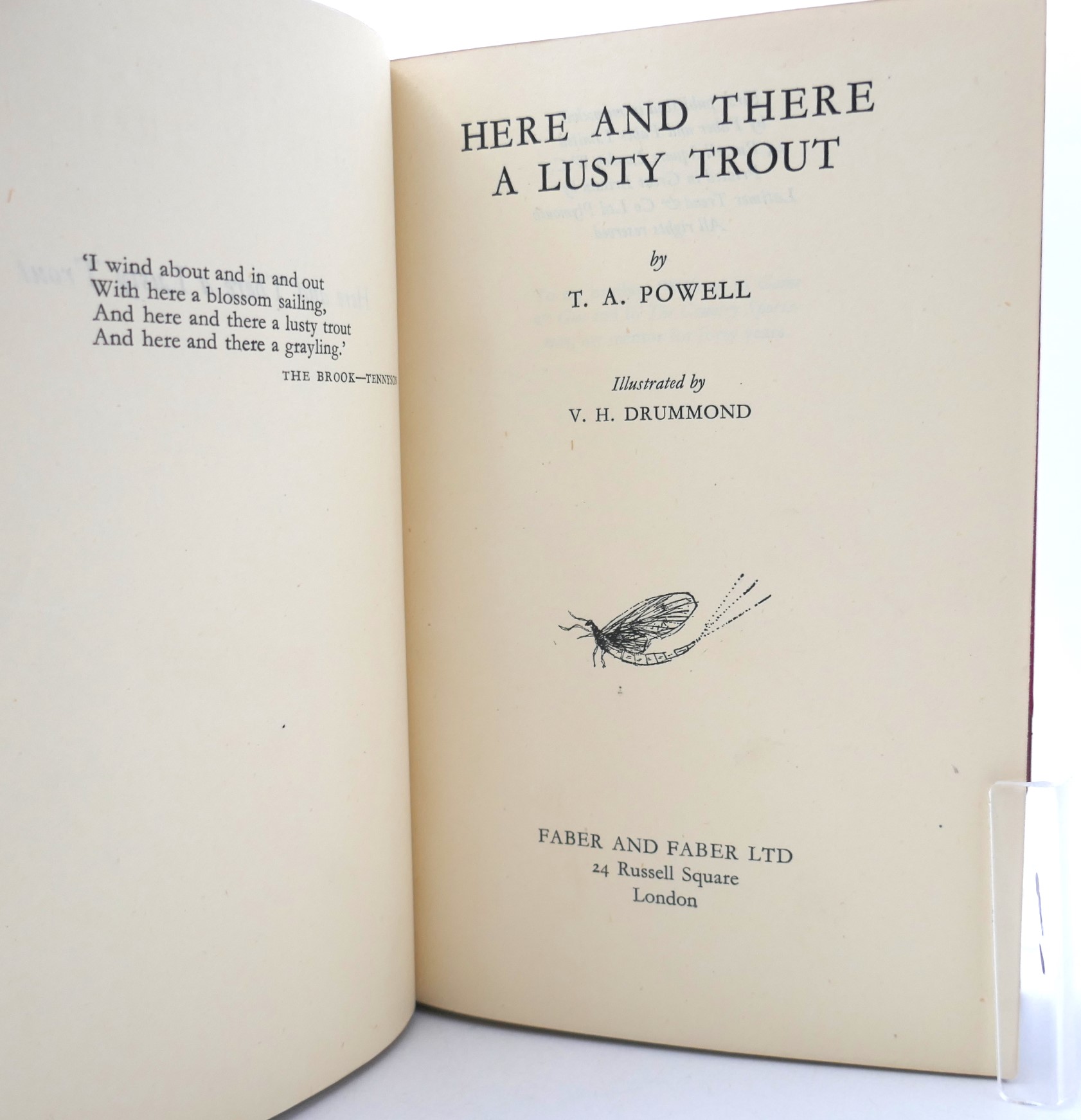 Here and There a Lusty Trout. Author's Copy (1947) - Image 2