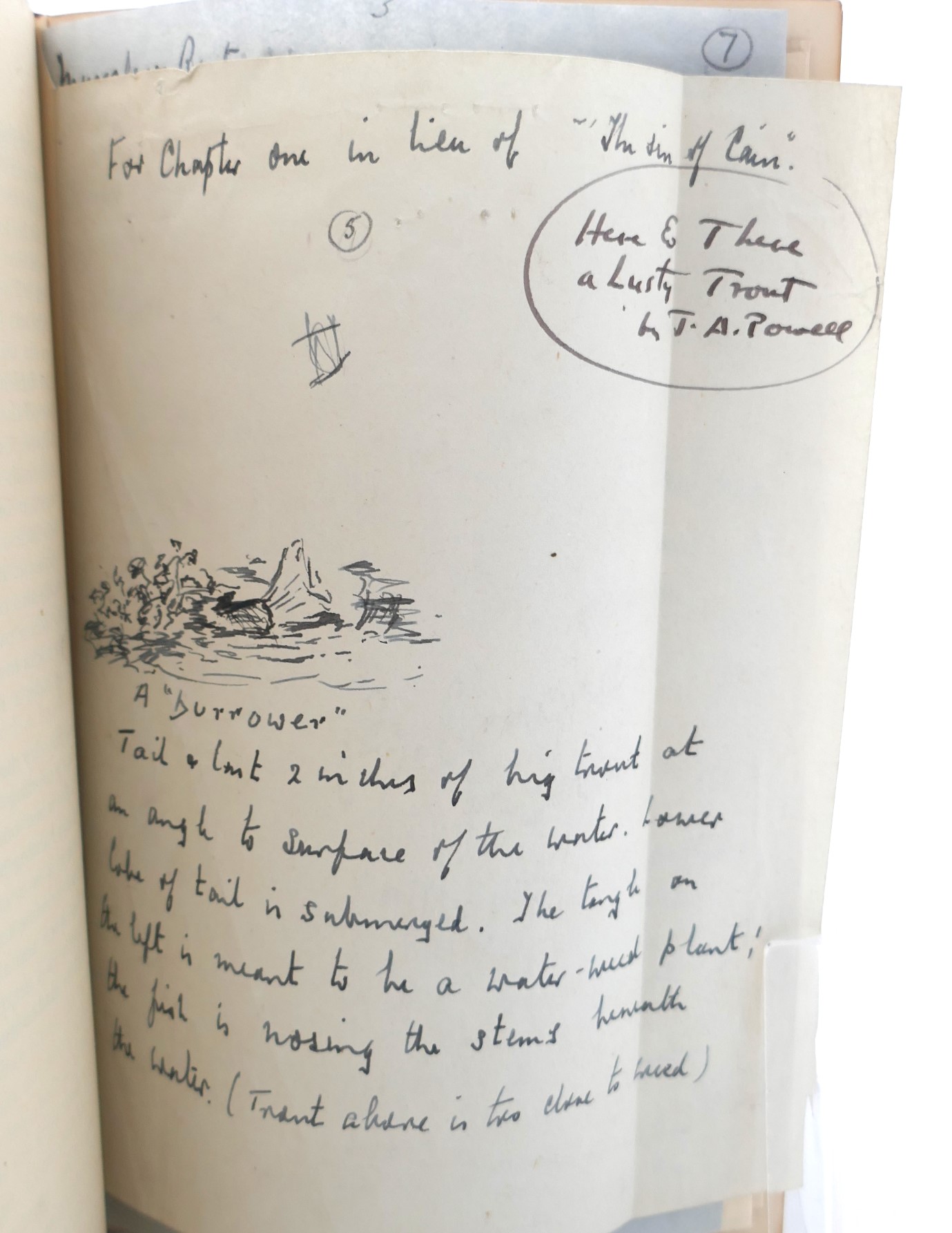 Here and There a Lusty Trout. Author's Copy (1947) - Image 4