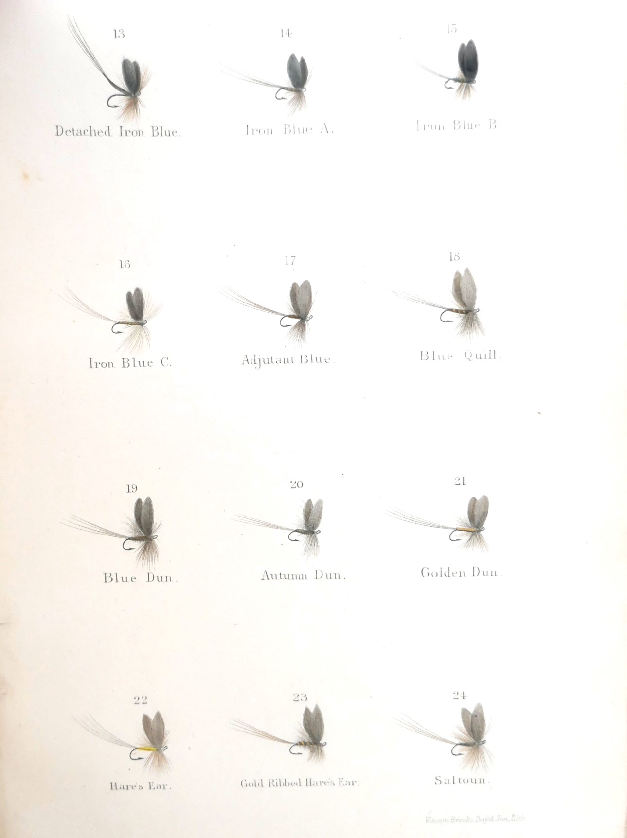 Floating Flies and How to Dress Them. Presentation Copy (1886) - Image 6