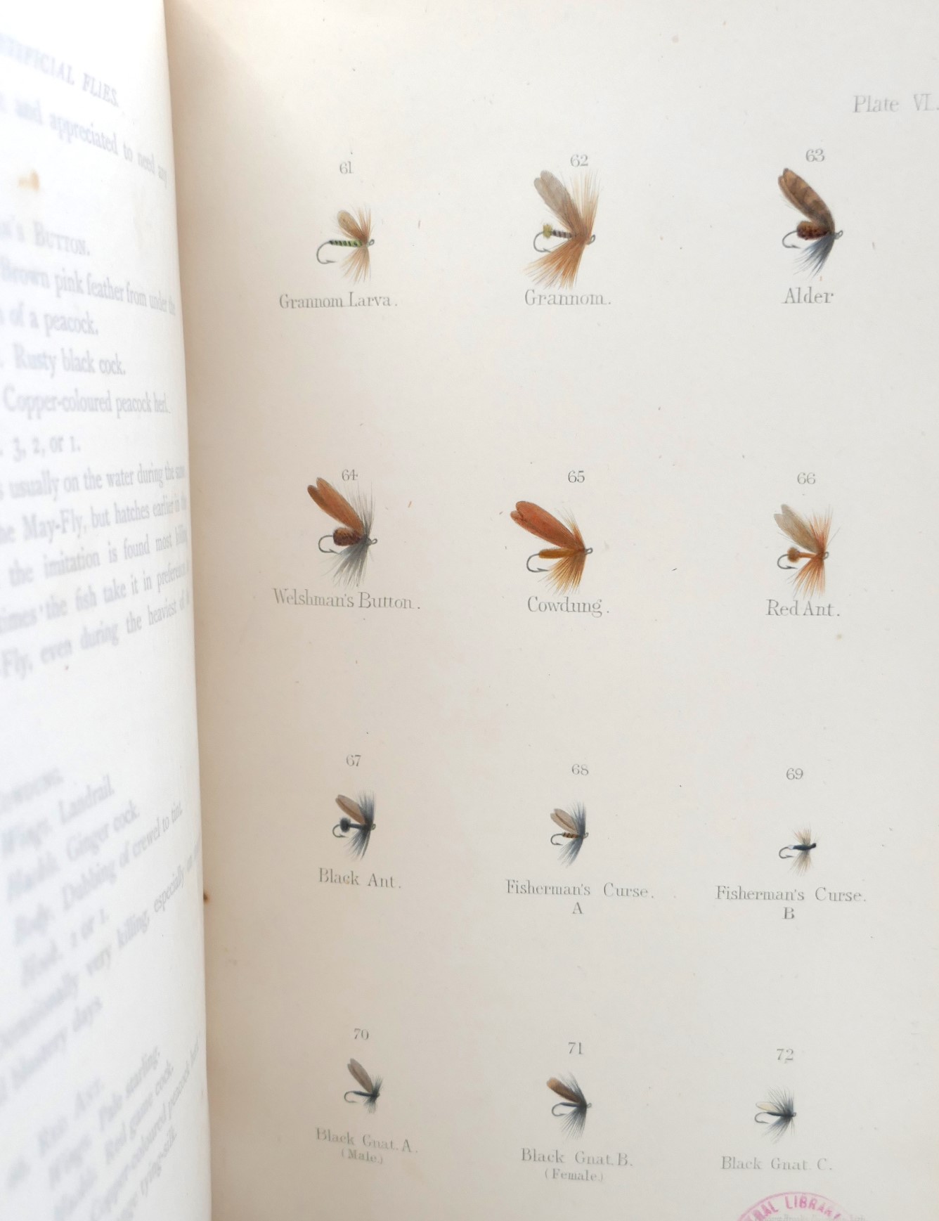 Floating Flies and How to Dress Them. Presentation Copy (1886) - Image 7