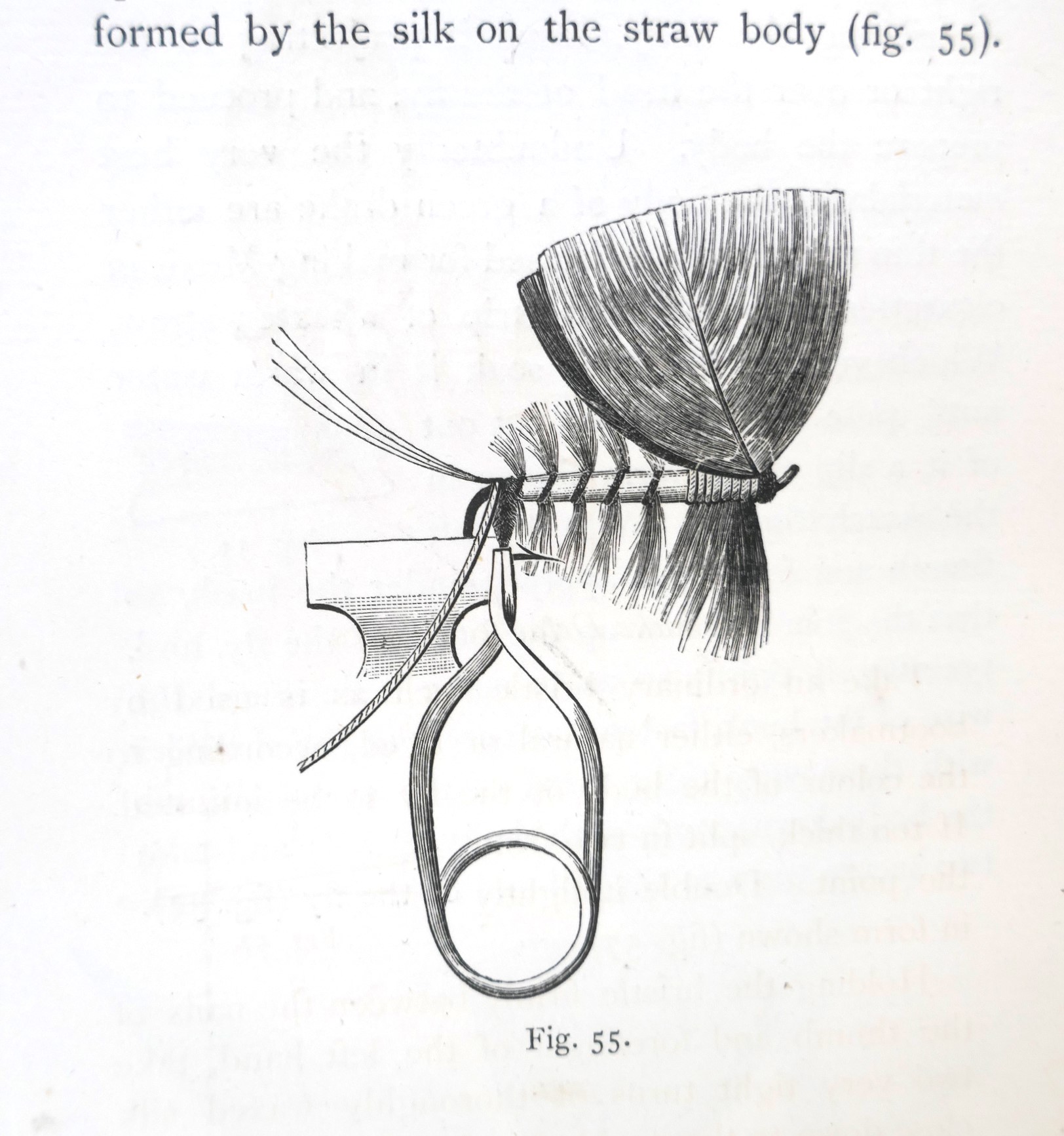 Floating Flies and How to Dress Them. Presentation Copy (1886) - Image 9