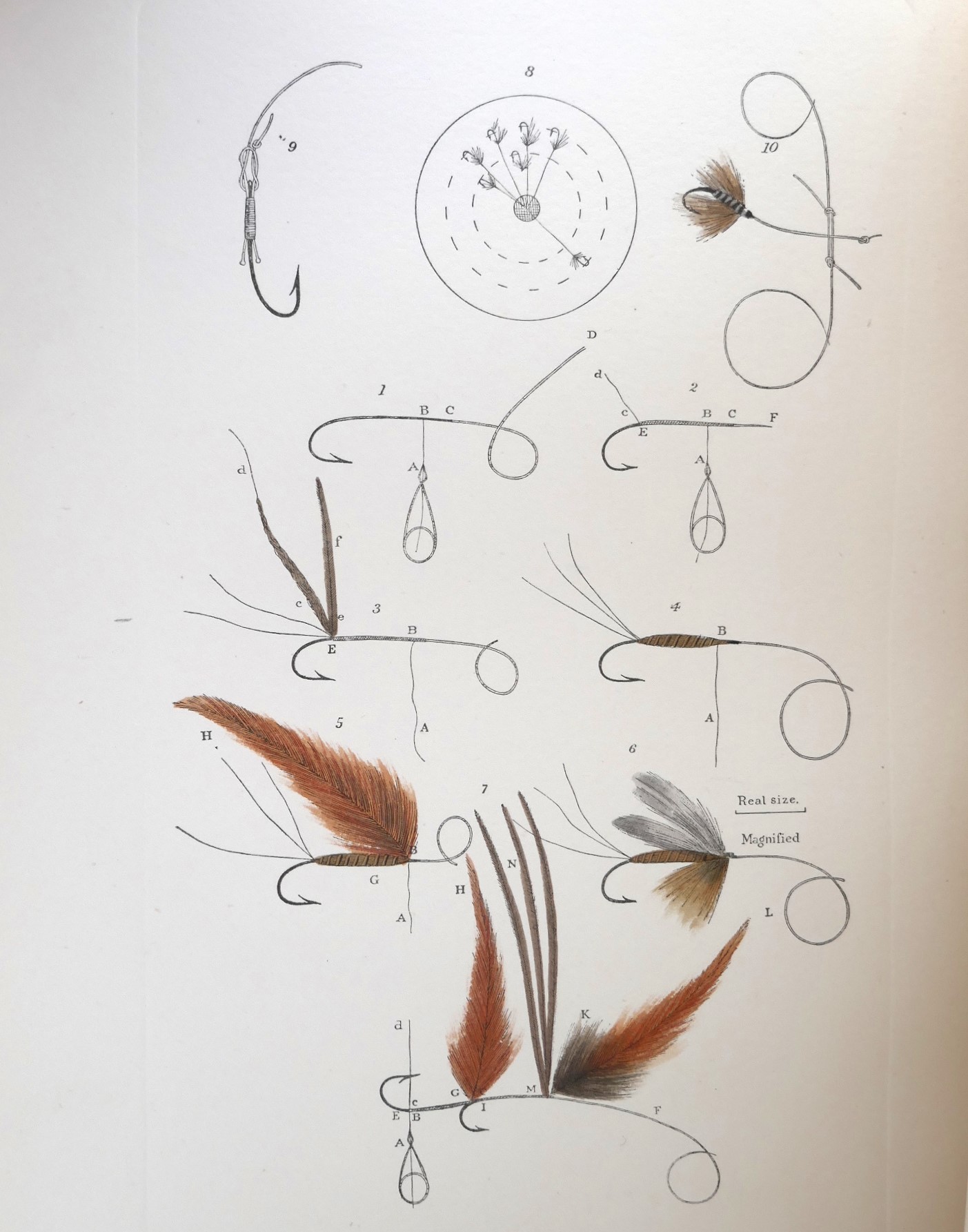 The Fly-Fisher's Entomology. Edition de Luxe (1913) - Image 6