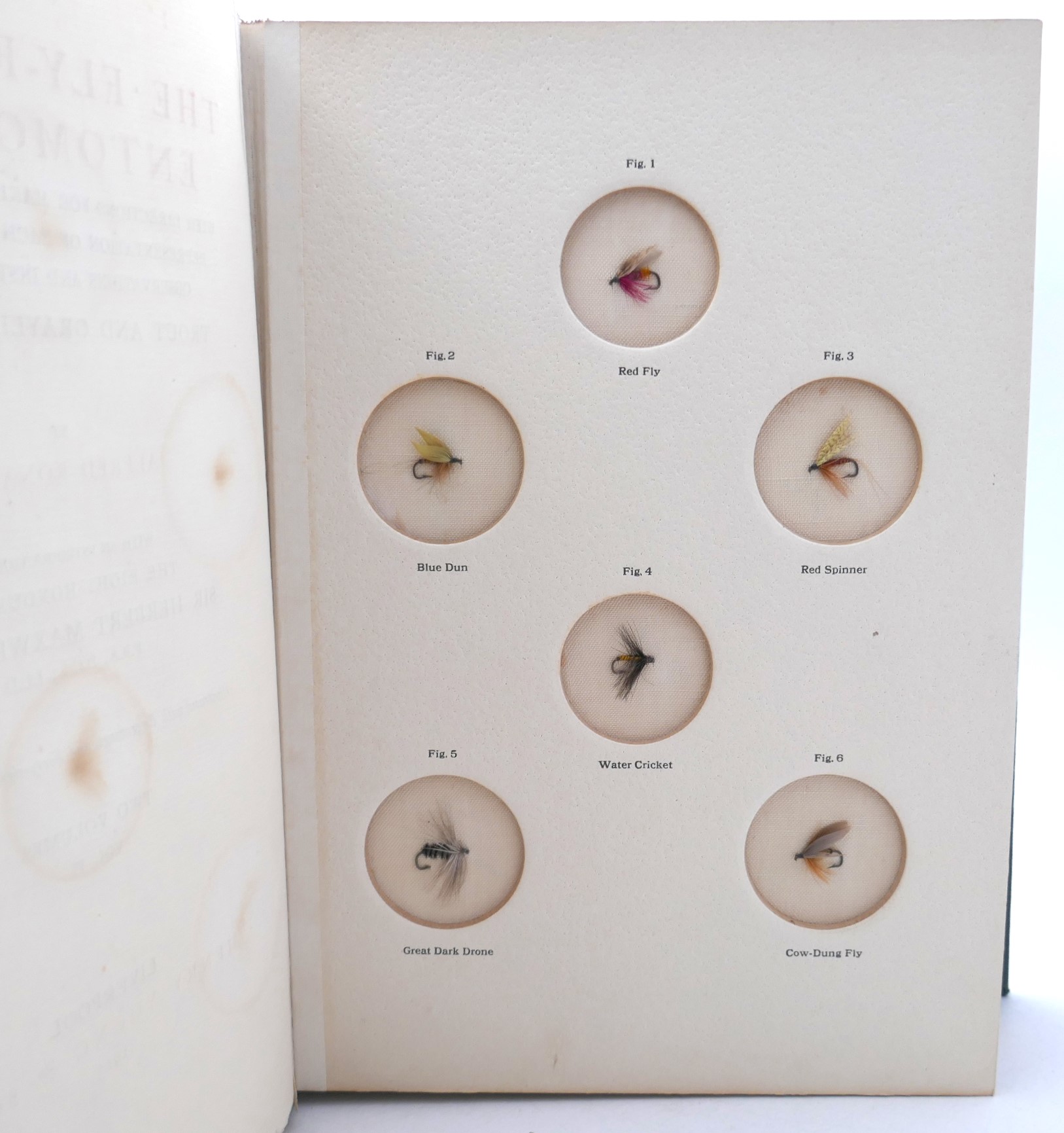 The Fly-Fisher's Entomology. Edition de Luxe (1913) - Image 10