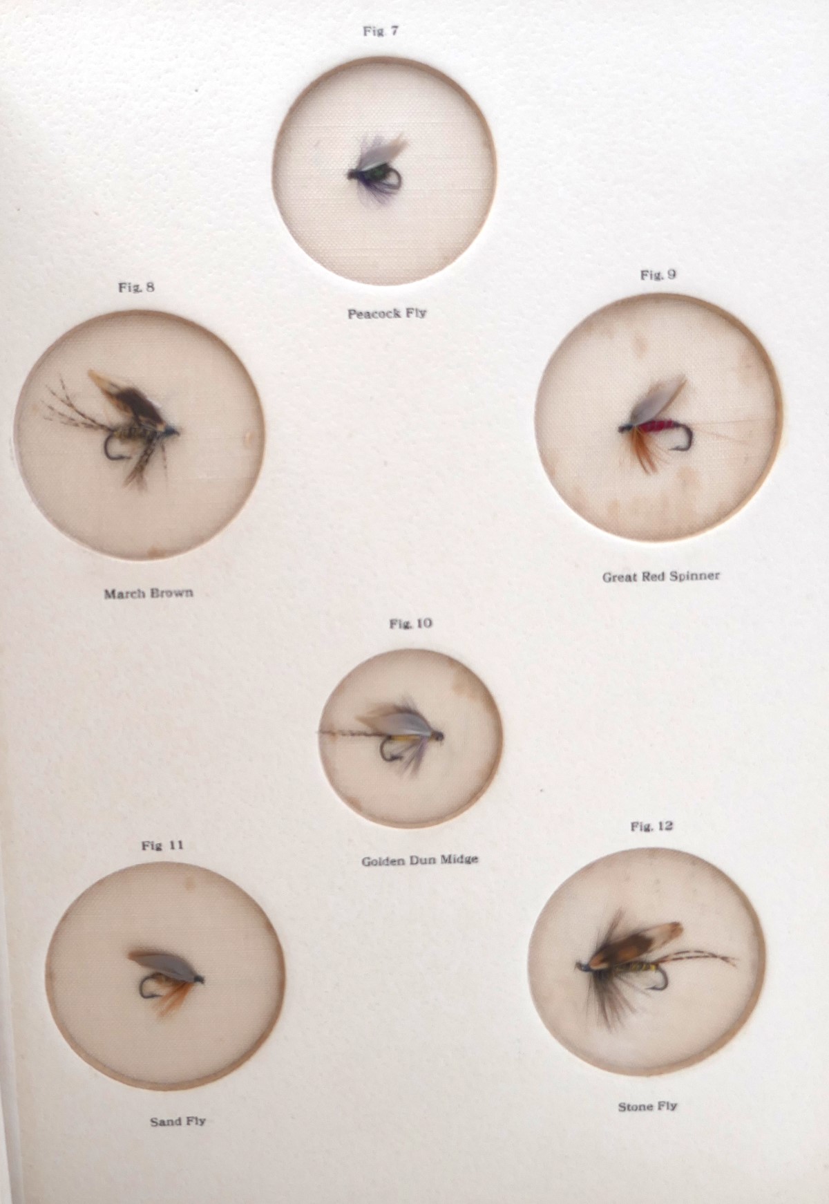 The Fly-Fisher's Entomology. Edition de Luxe (1913) - Image 11