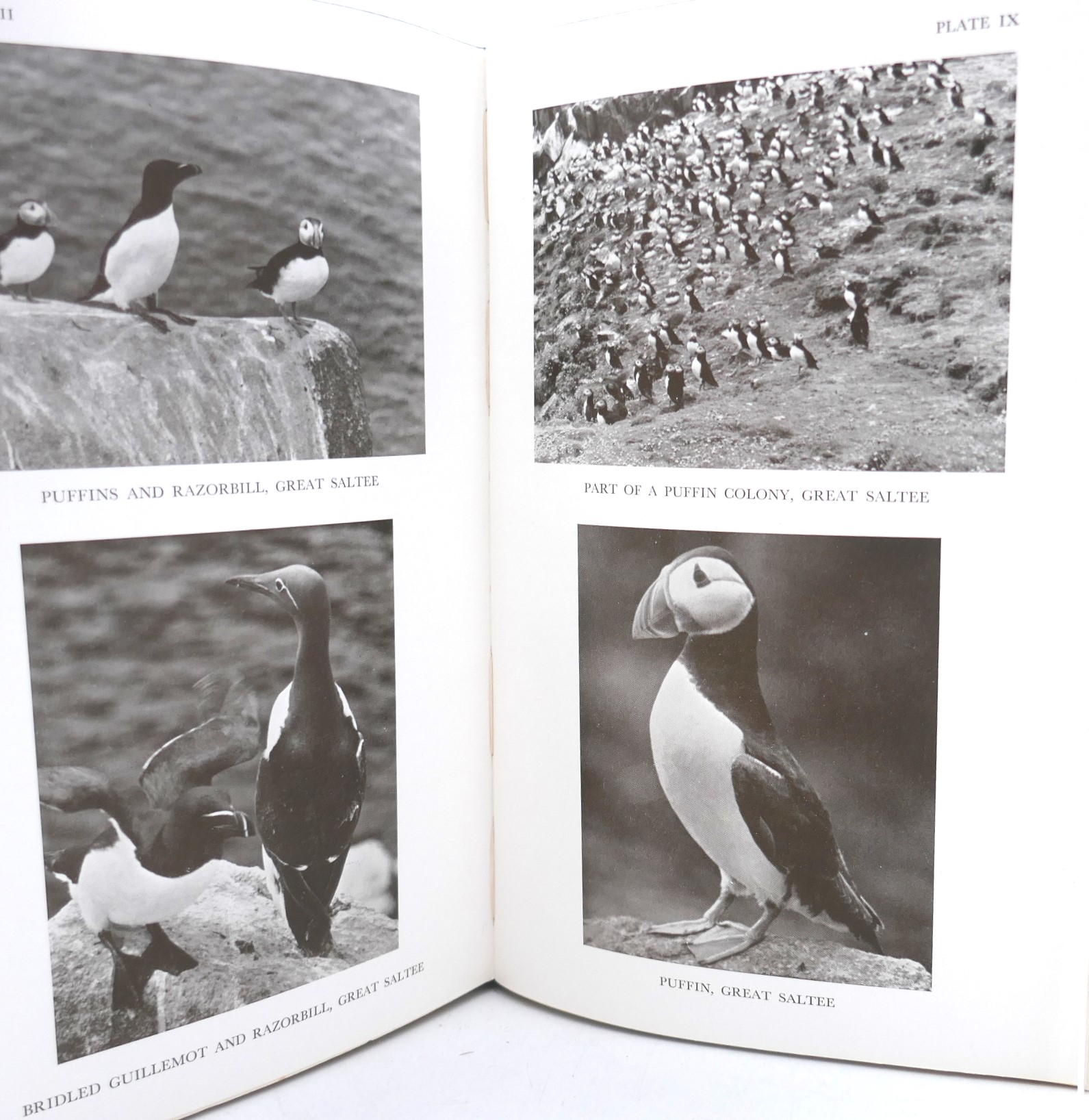 The Birds of Ireland. Their Migrations and Habits (1954) - Image 5