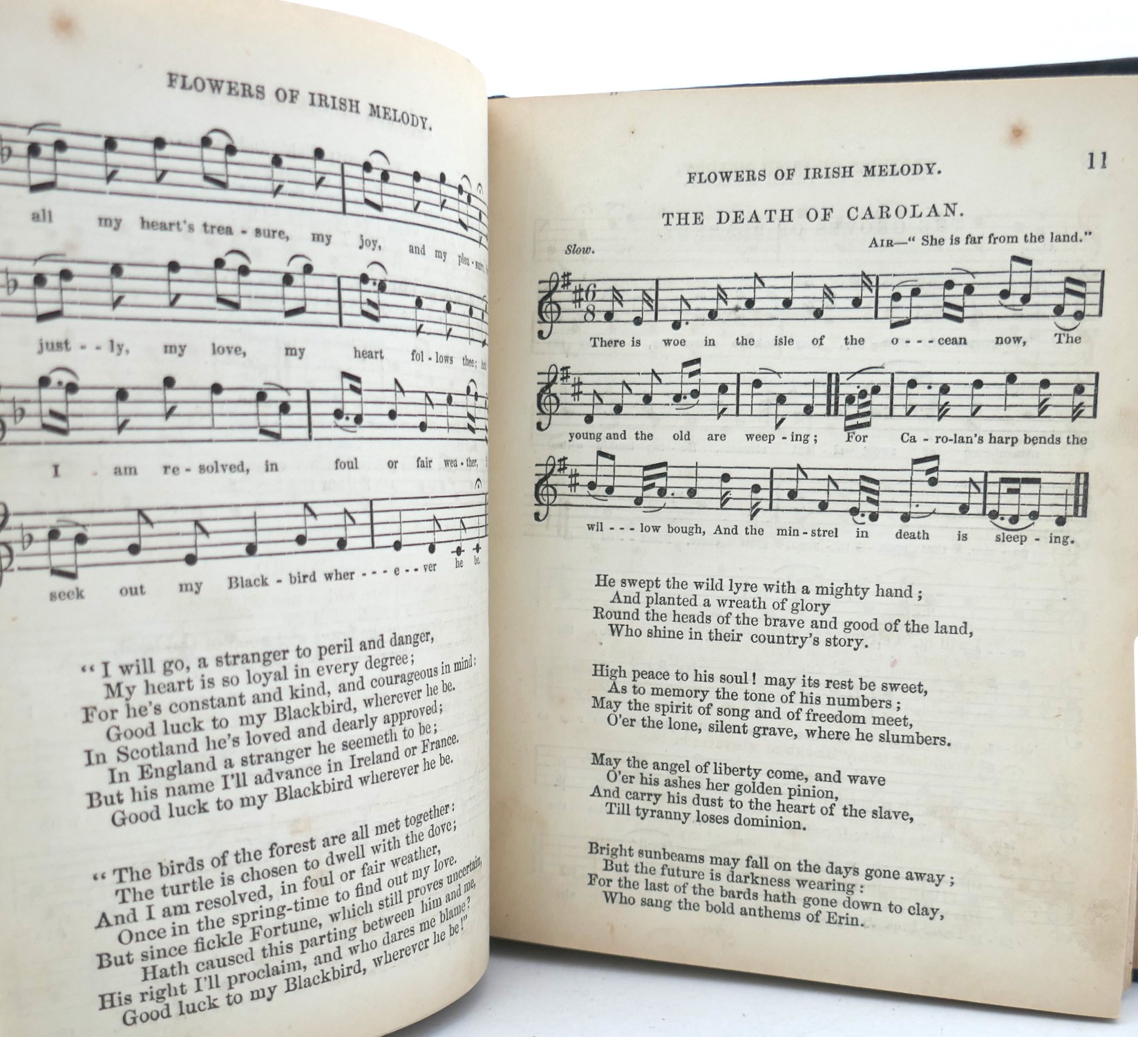 The Flowers of Irish Melody (1848) - Image 6