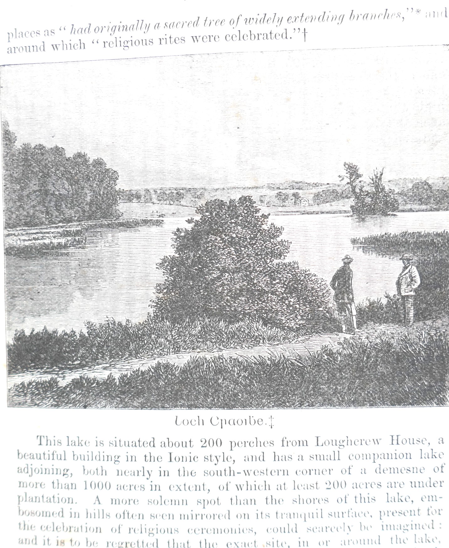 Discovery of the Tomb of Ollamh Fodhla (1873) - Image 3