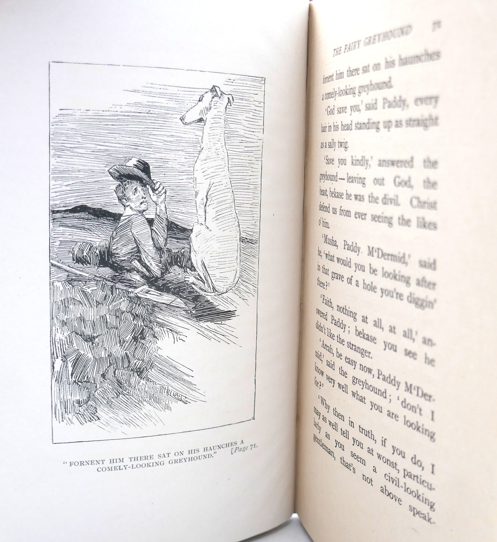 Irish Fairy Tales. Edited by W.B. Yeats (1892) - Image 6