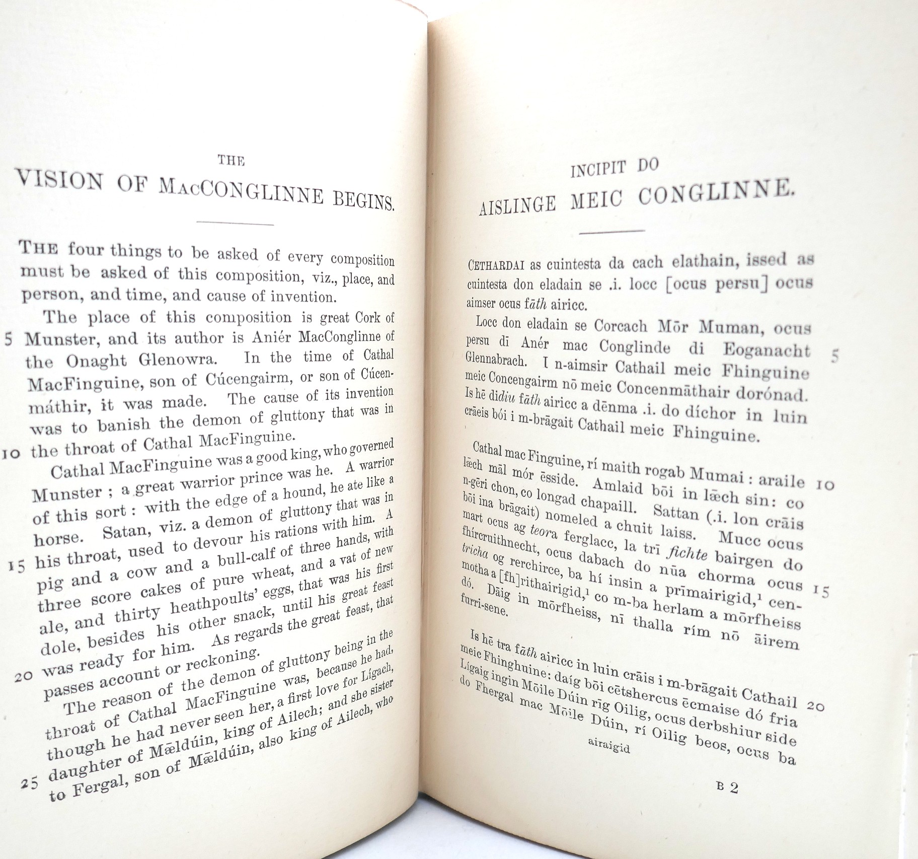 The Vision of Mac Conglinne (1892) - Image 5