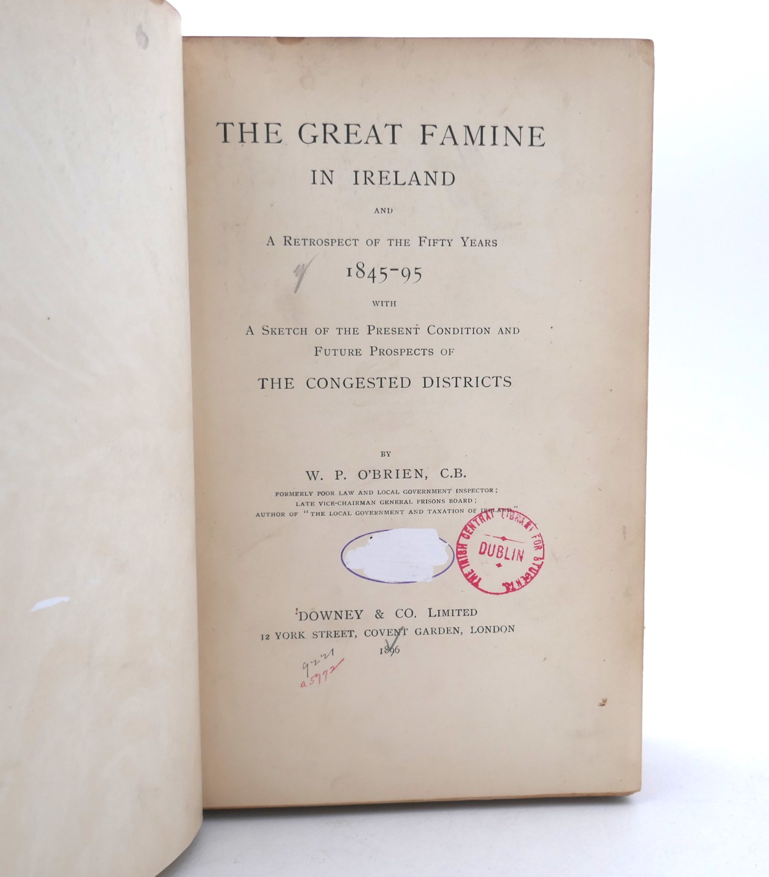 The Great Famine in Ireland (1896) - Image 2