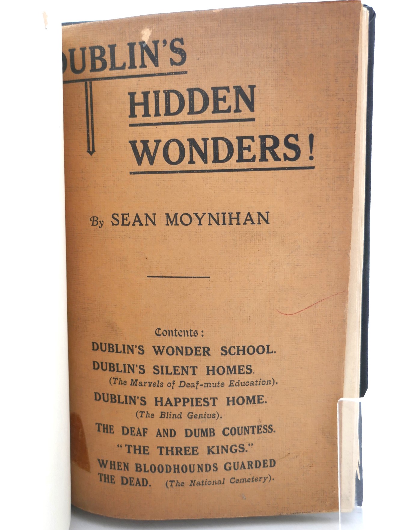 Dublin's Hidden Wonders! (1932) - Image 2