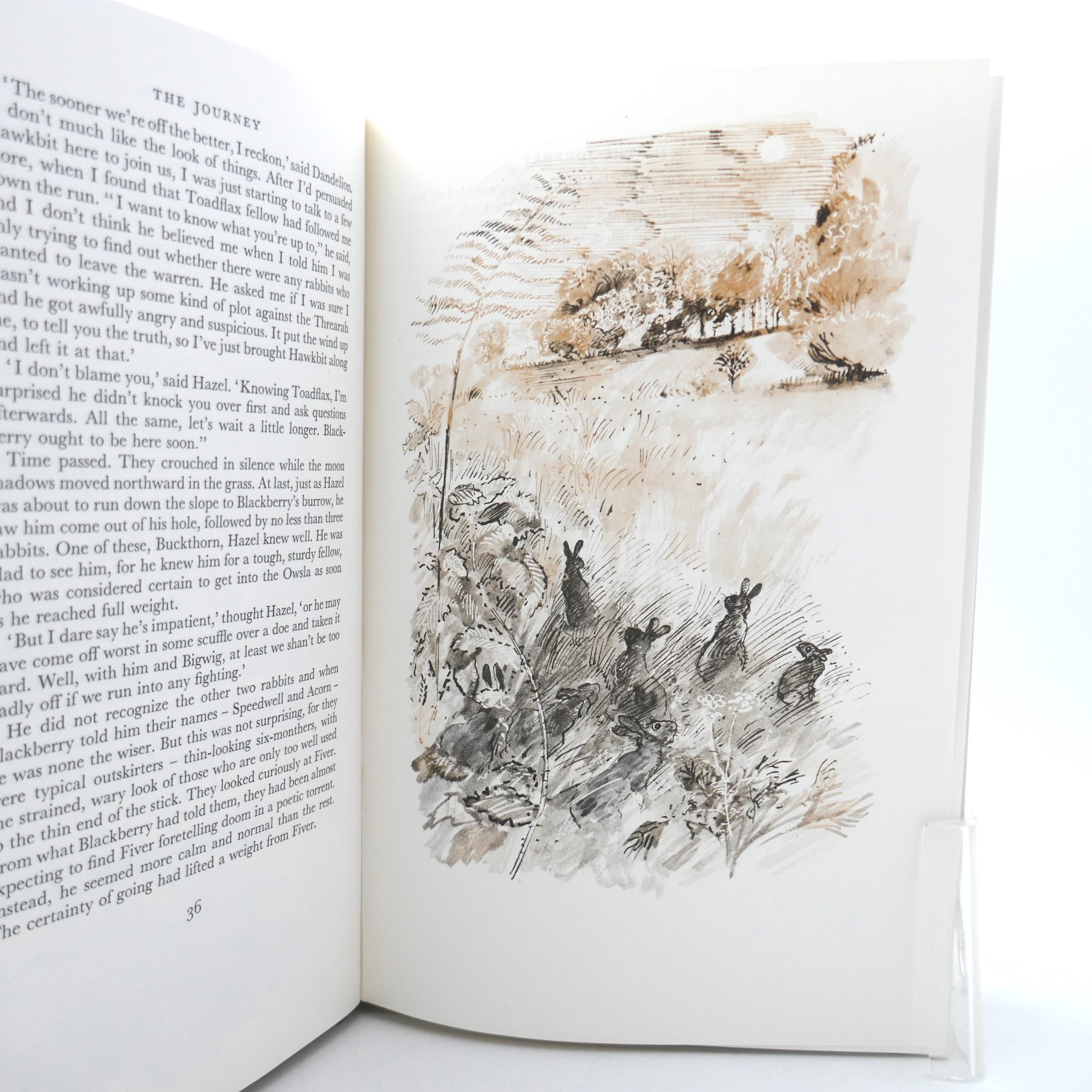 Watership Down. First Illustrated Edition (1976) - Image 4