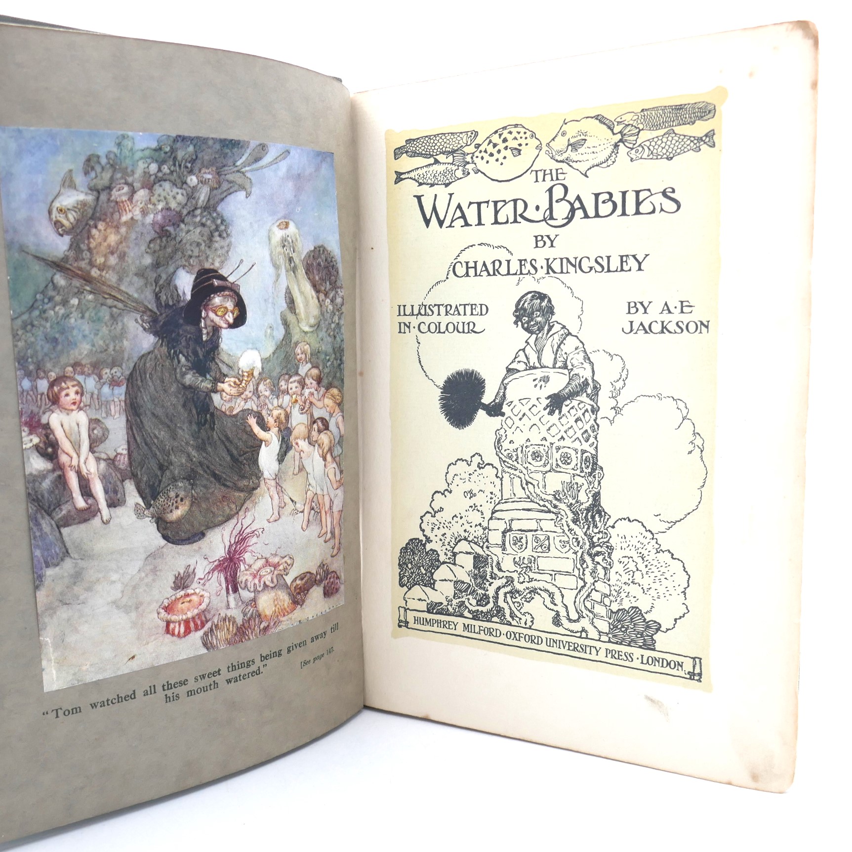 The Water Babies. Illustrated by A.E. Jackson (1920) - Image 2