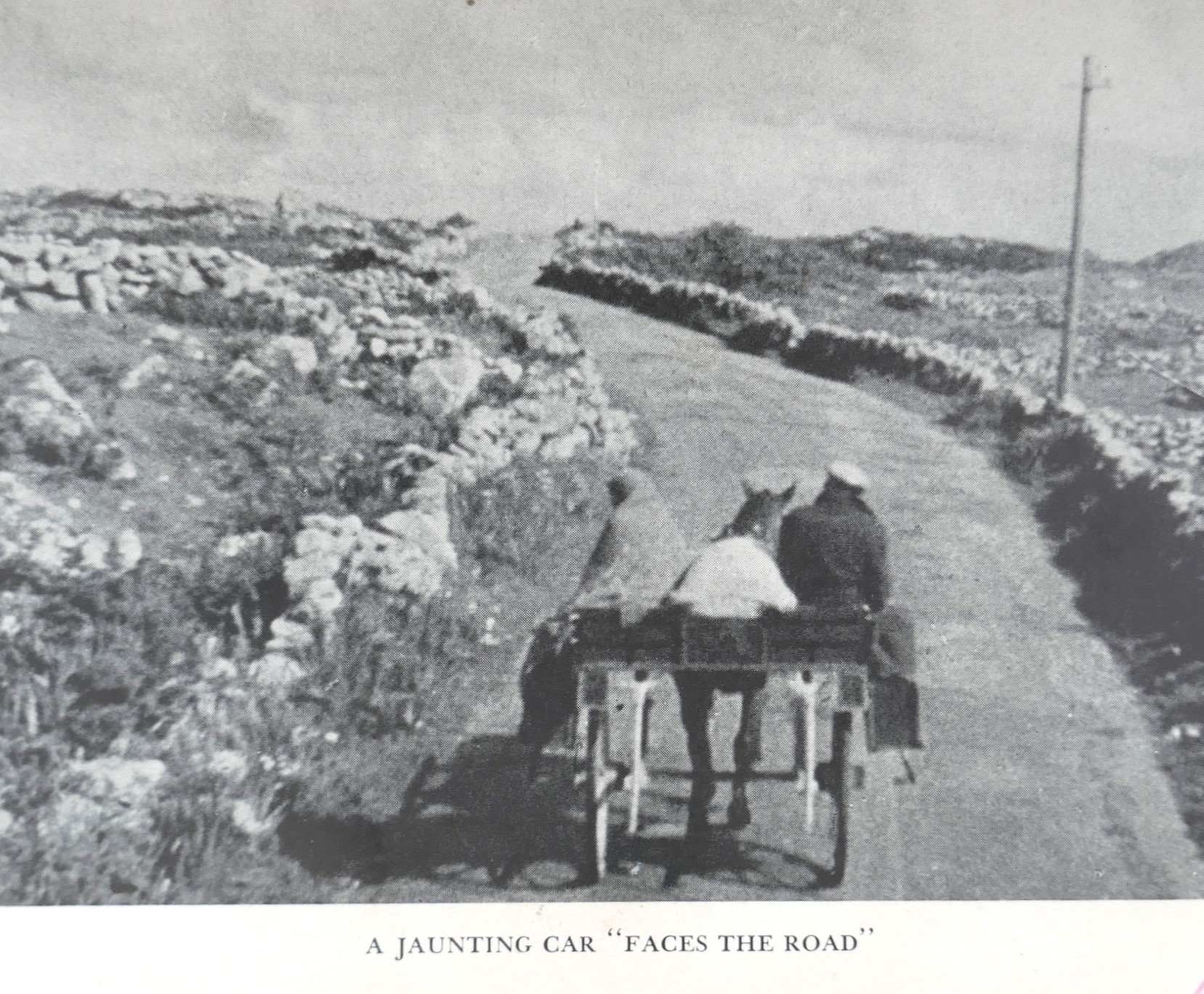 Family and Community in Ireland (1940) - Image 3